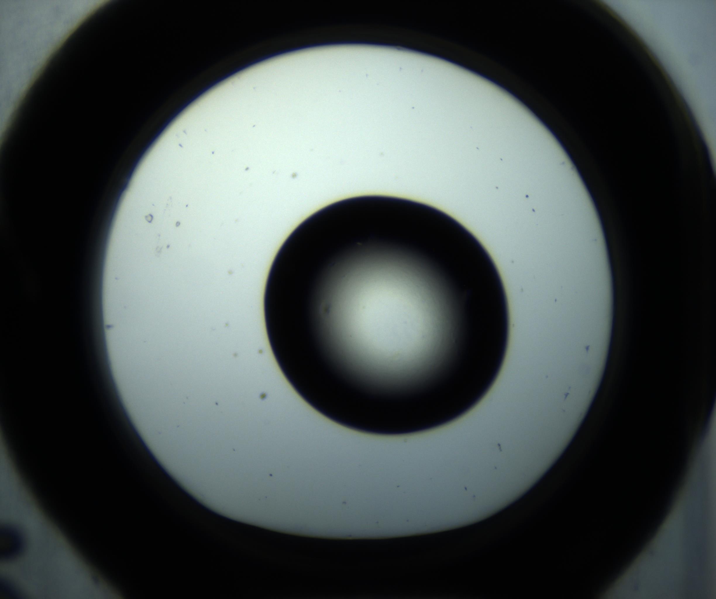 RI01_03_000_0212_Proj1_Clon1_MC_0000MC102897_001_161027_05_01_01_00_98_002_001_RAI.jpg