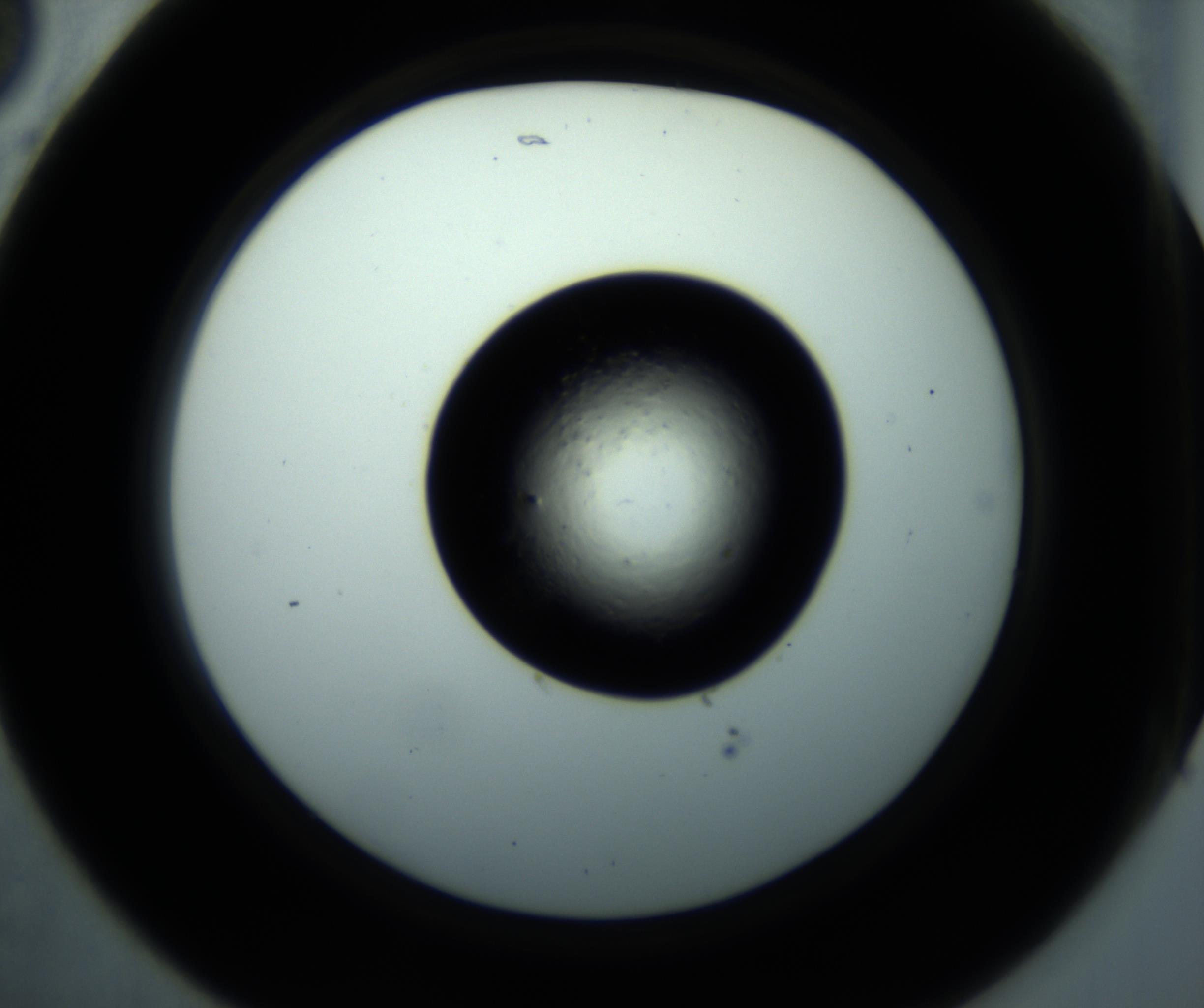 RI01_03_000_0212_Proj1_Clon1_MC_0000MC102897_001_161027_05_02_02_00_98_002_001_RAI.jpg