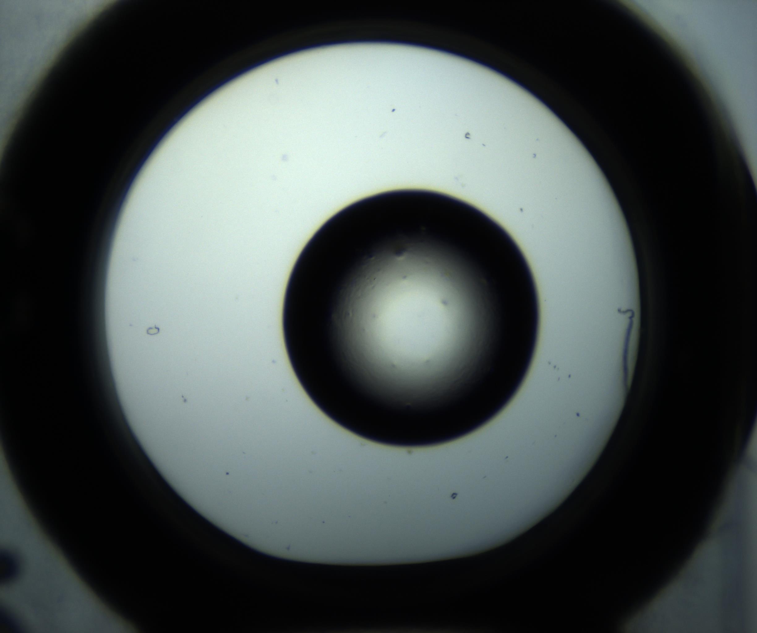 RI01_03_000_0212_Proj1_Clon1_MC_0000MC102897_001_161027_05_03_01_00_98_002_001_RAI.jpg