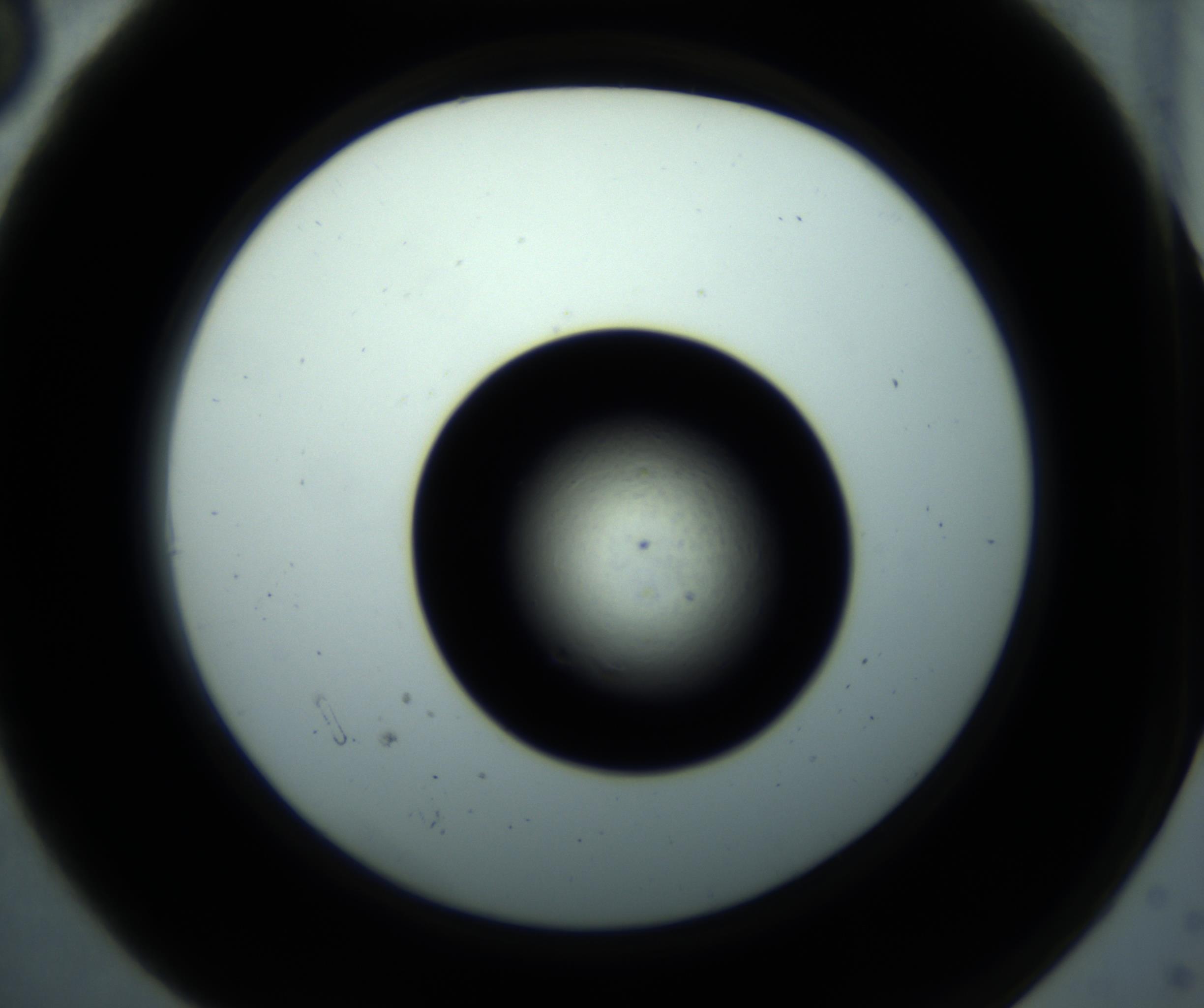 RI01_03_000_0212_Proj1_Clon1_MC_0000MC102897_001_161027_06_01_02_00_98_002_001_RAI.jpg