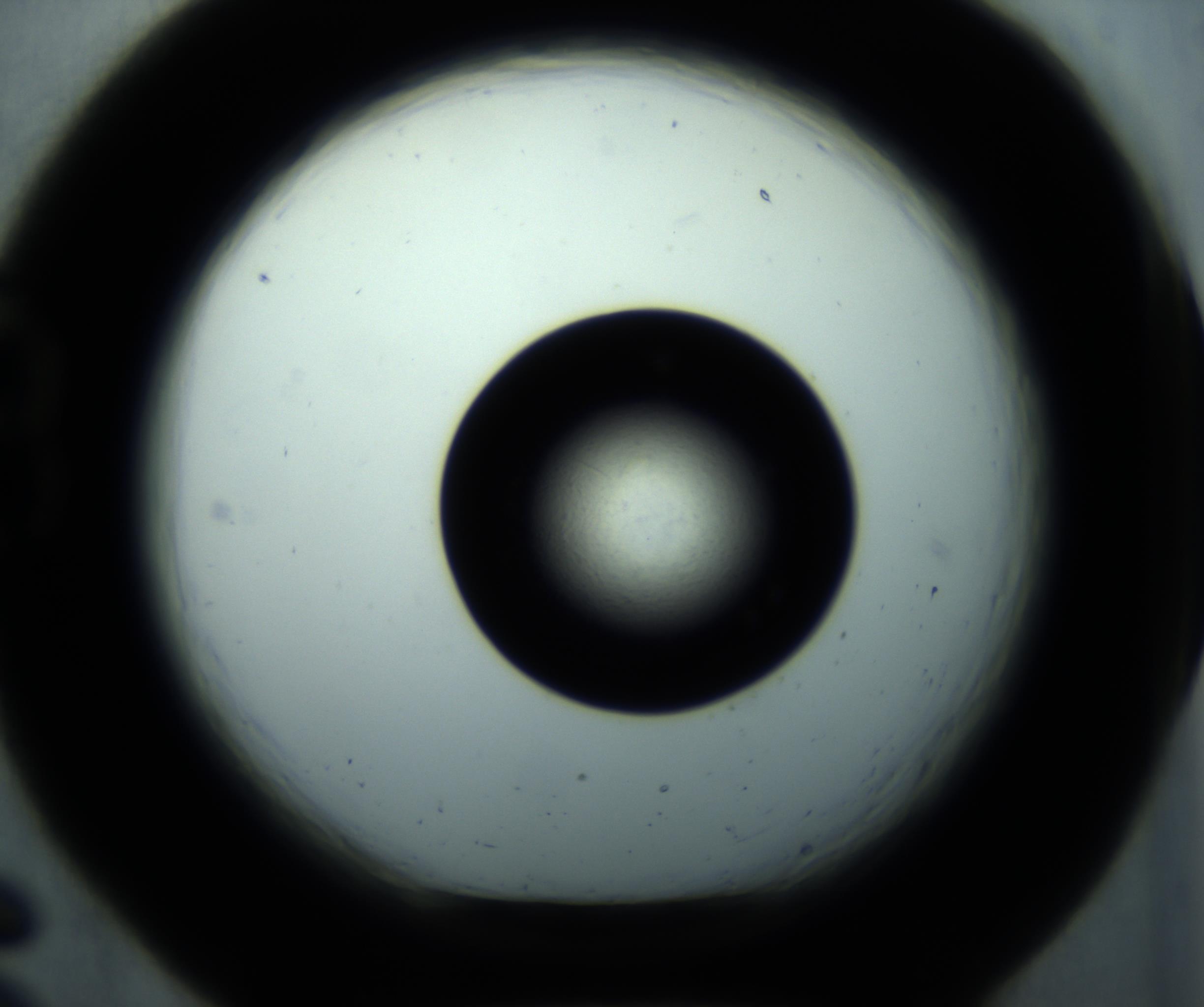 RI01_03_000_0212_Proj1_Clon1_MC_0000MC102897_001_161027_06_02_01_00_98_002_001_RAI.jpg