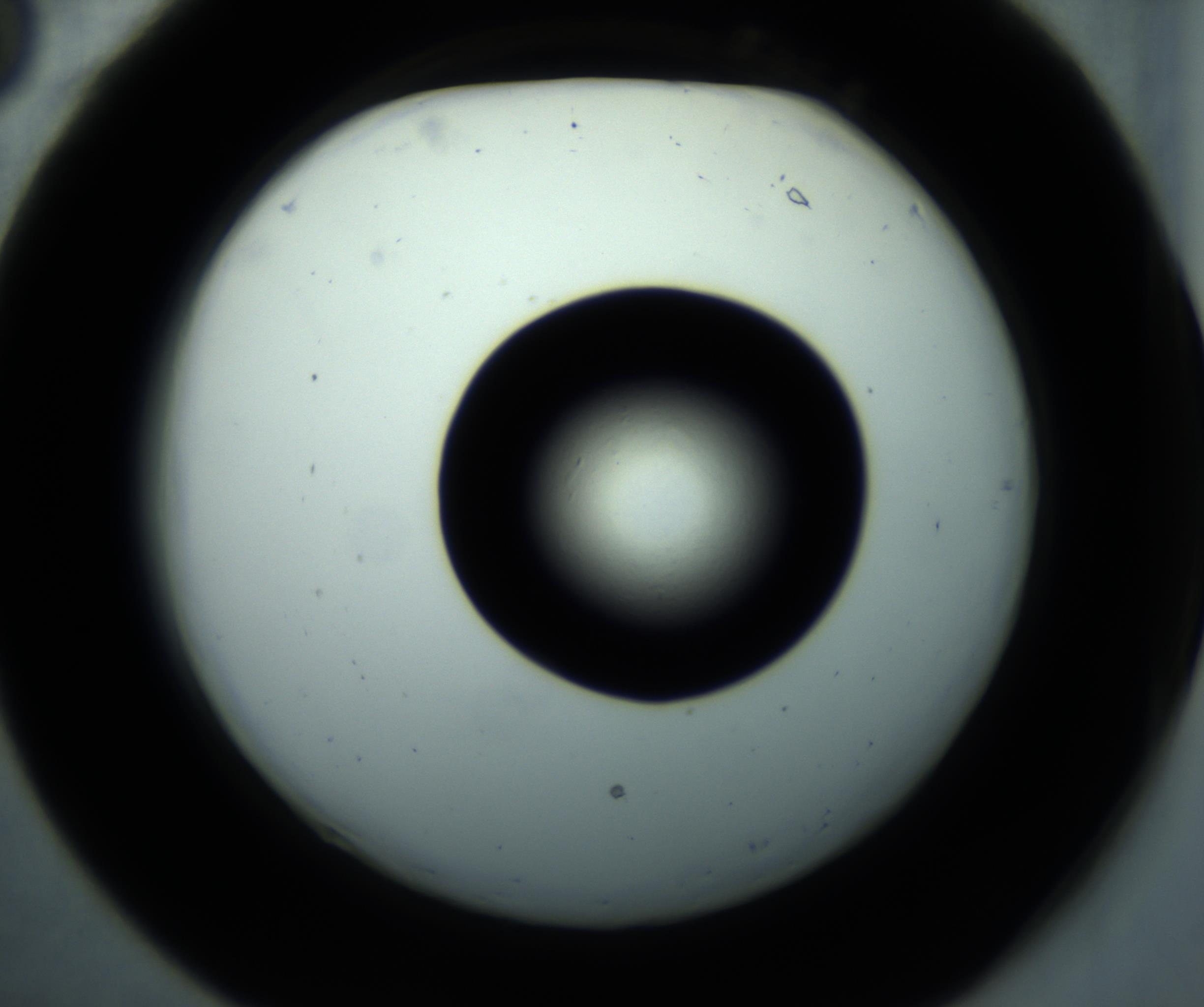 RI01_03_000_0212_Proj1_Clon1_MC_0000MC102897_001_161027_06_02_02_00_98_002_001_RAI.jpg