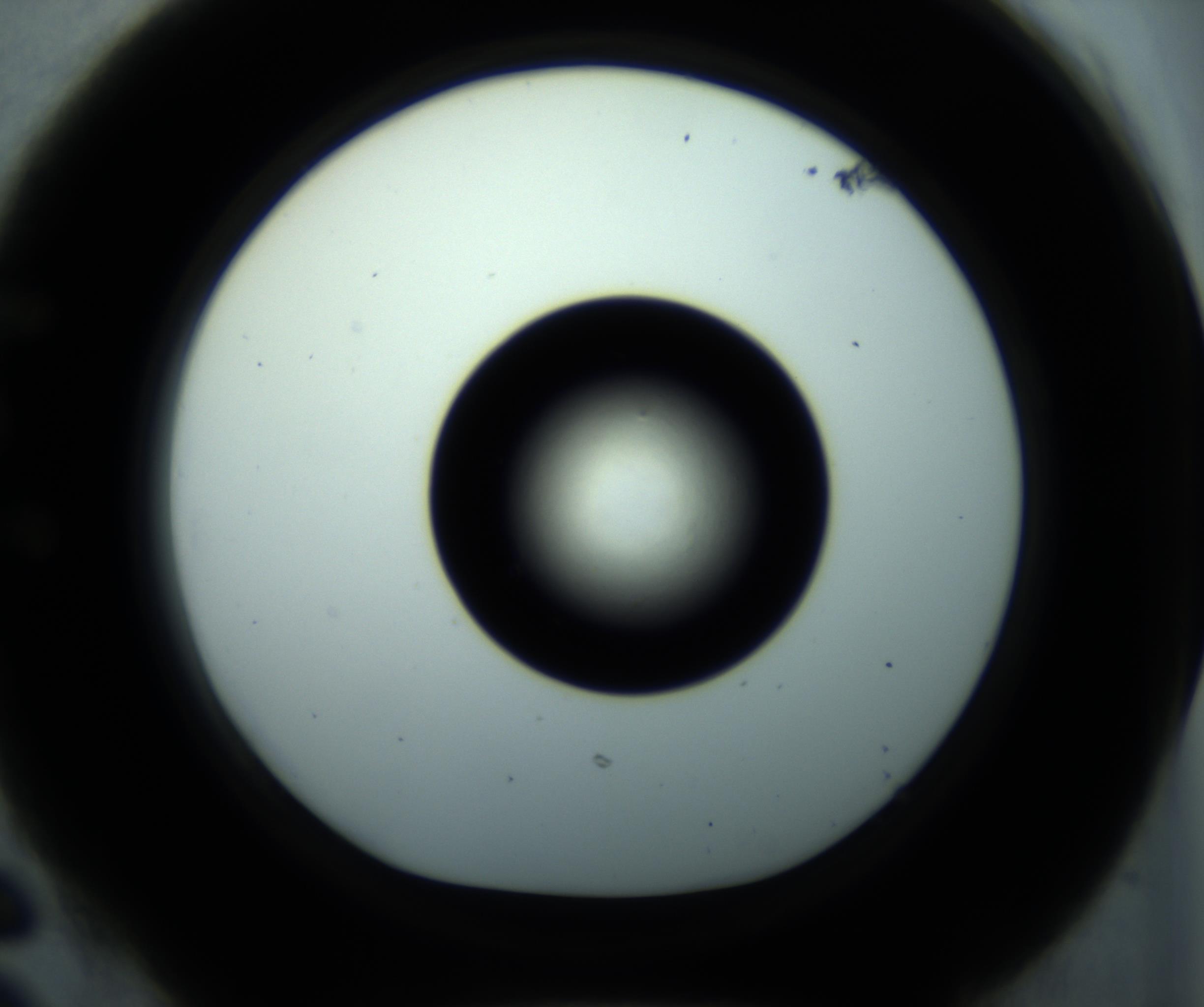 RI01_03_000_0212_Proj1_Clon1_MC_0000MC102897_001_161027_06_05_01_00_98_002_001_RAI.jpg