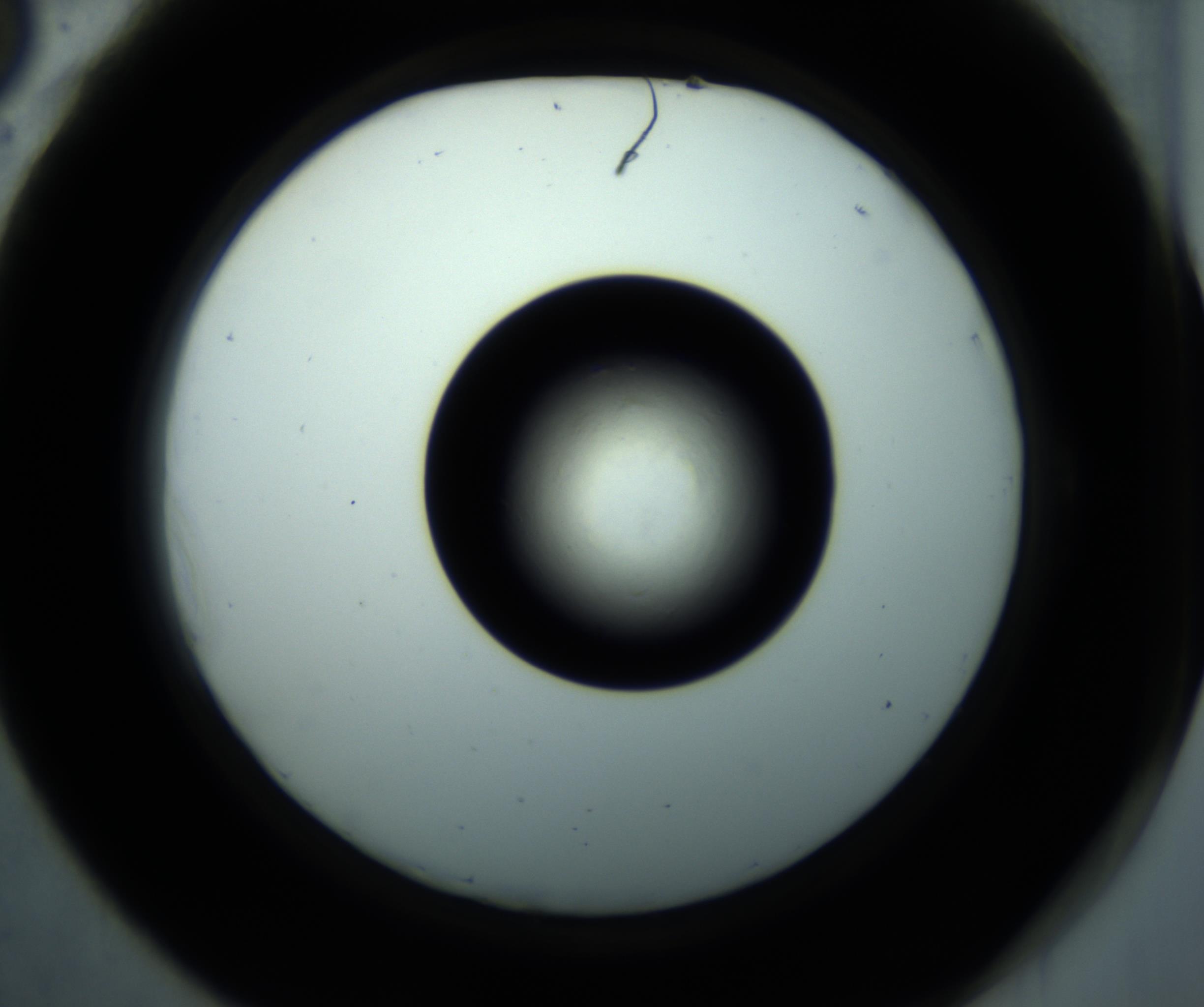 RI01_03_000_0212_Proj1_Clon1_MC_0000MC102897_001_161027_06_05_02_00_98_002_001_RAI.jpg