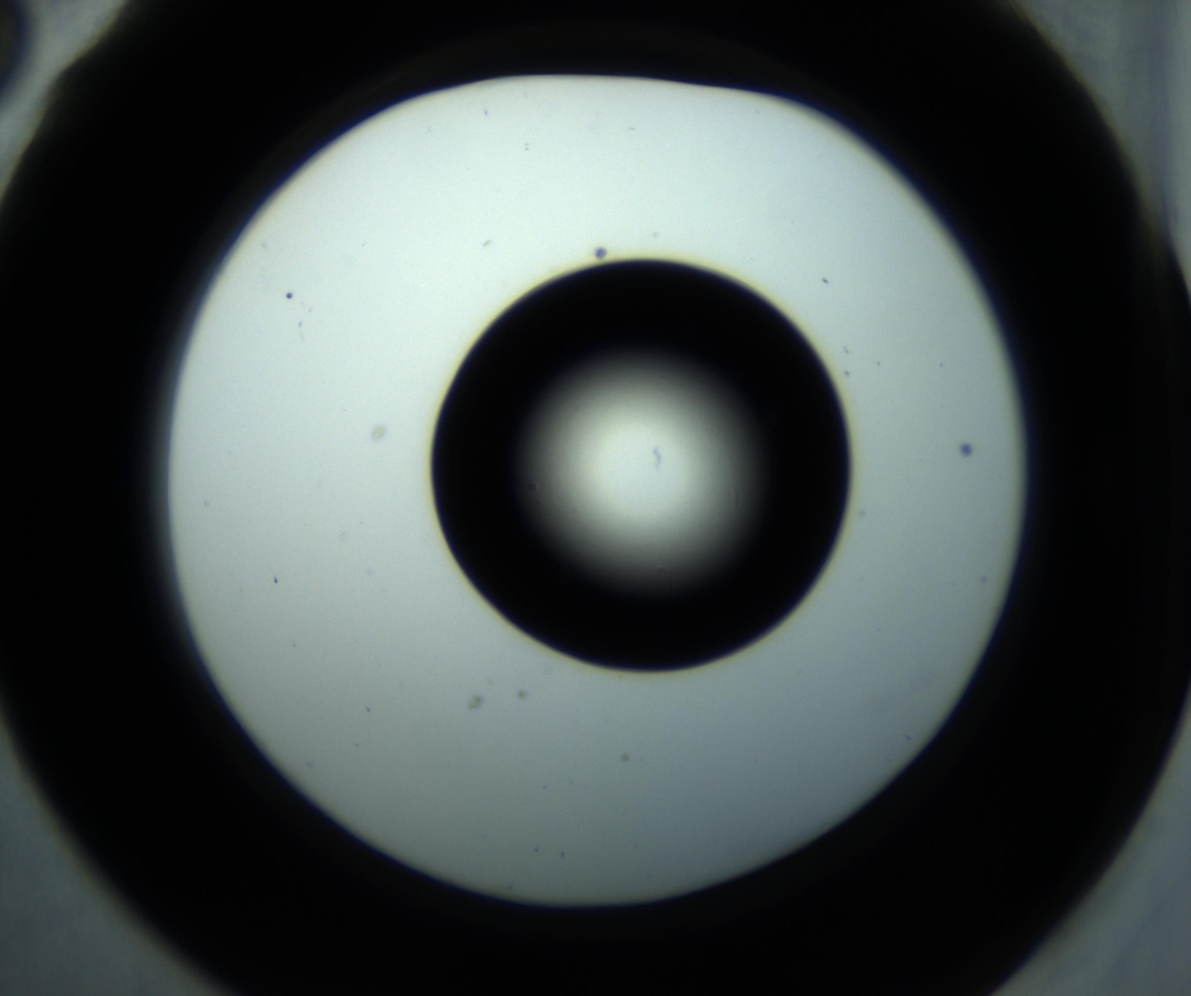RI01_03_000_0212_Proj1_Clon1_MC_0000MC102897_001_161027_06_06_02_00_98_002_001_RAI.jpg