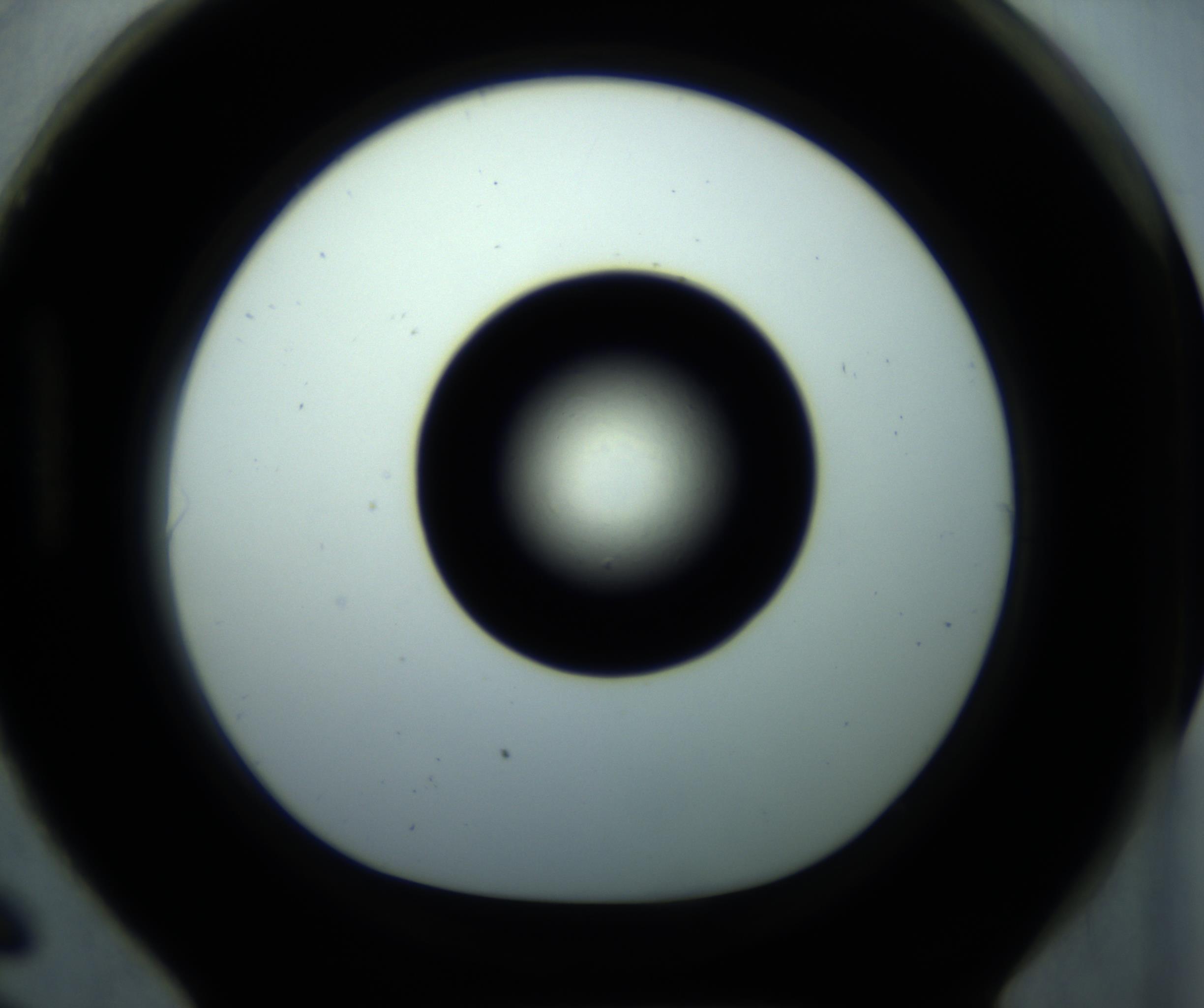 RI01_03_000_0212_Proj1_Clon1_MC_0000MC102897_001_161027_06_08_01_00_98_002_001_RAI.jpg