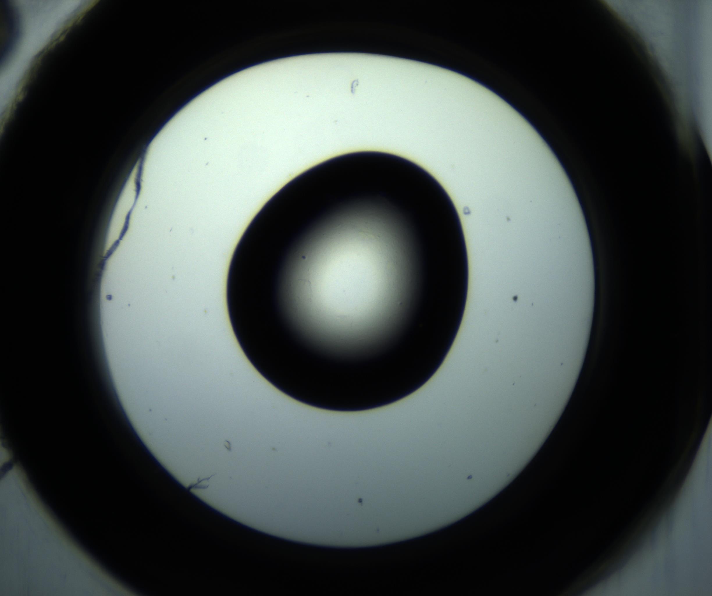 RI01_03_000_0212_Proj1_Clon1_MC_0000MC102897_001_161027_06_08_02_00_98_002_001_RAI.jpg