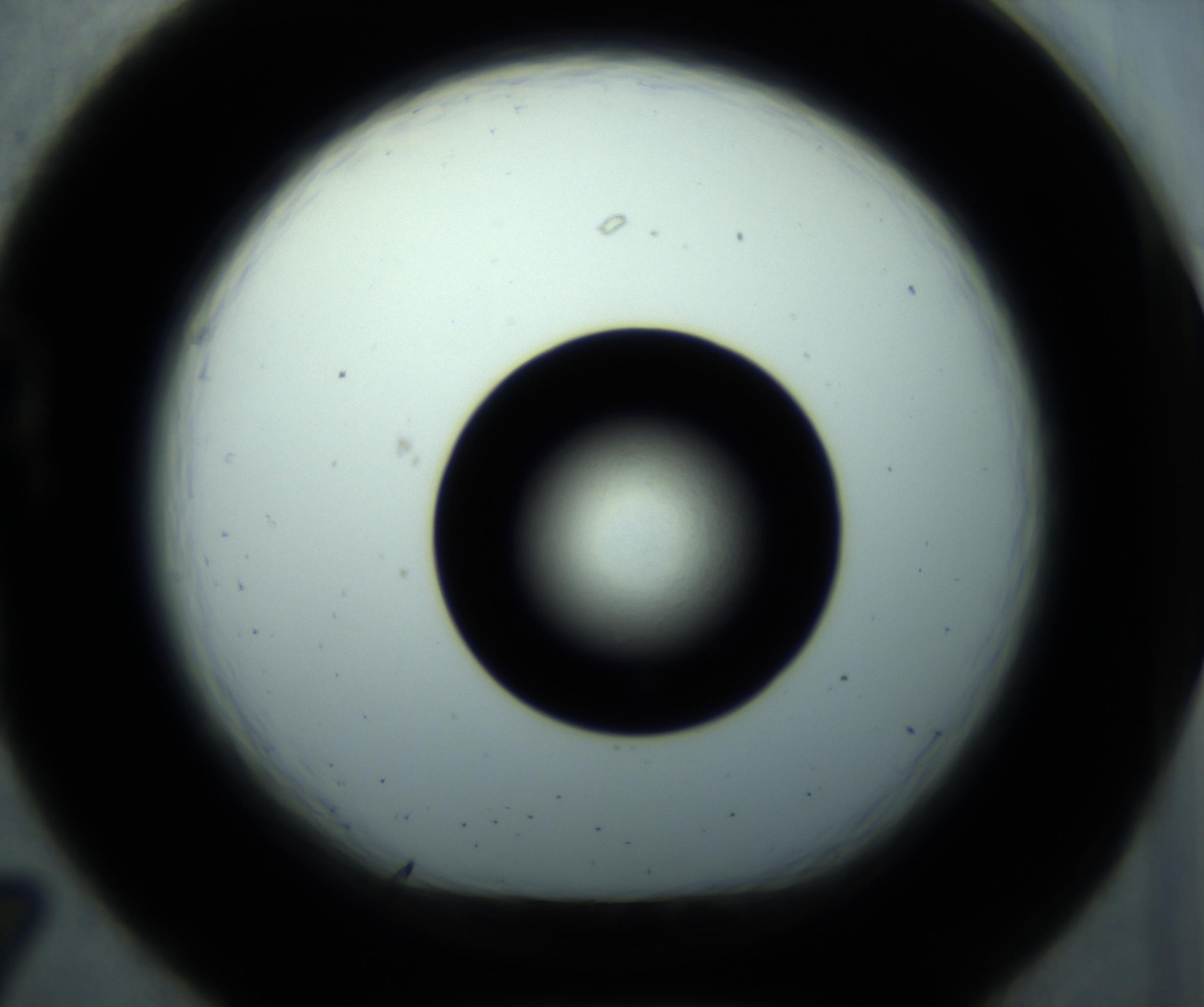 RI01_03_000_0212_Proj1_Clon1_MC_0000MC102897_001_161027_07_02_01_00_98_002_001_RAI.jpg