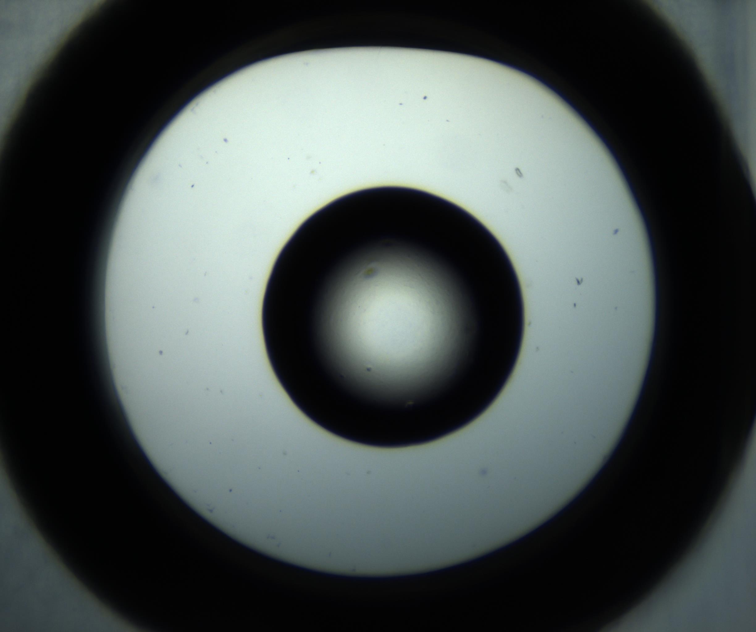 RI01_03_000_0212_Proj1_Clon1_MC_0000MC102897_001_161027_07_02_02_00_98_002_001_RAI.jpg