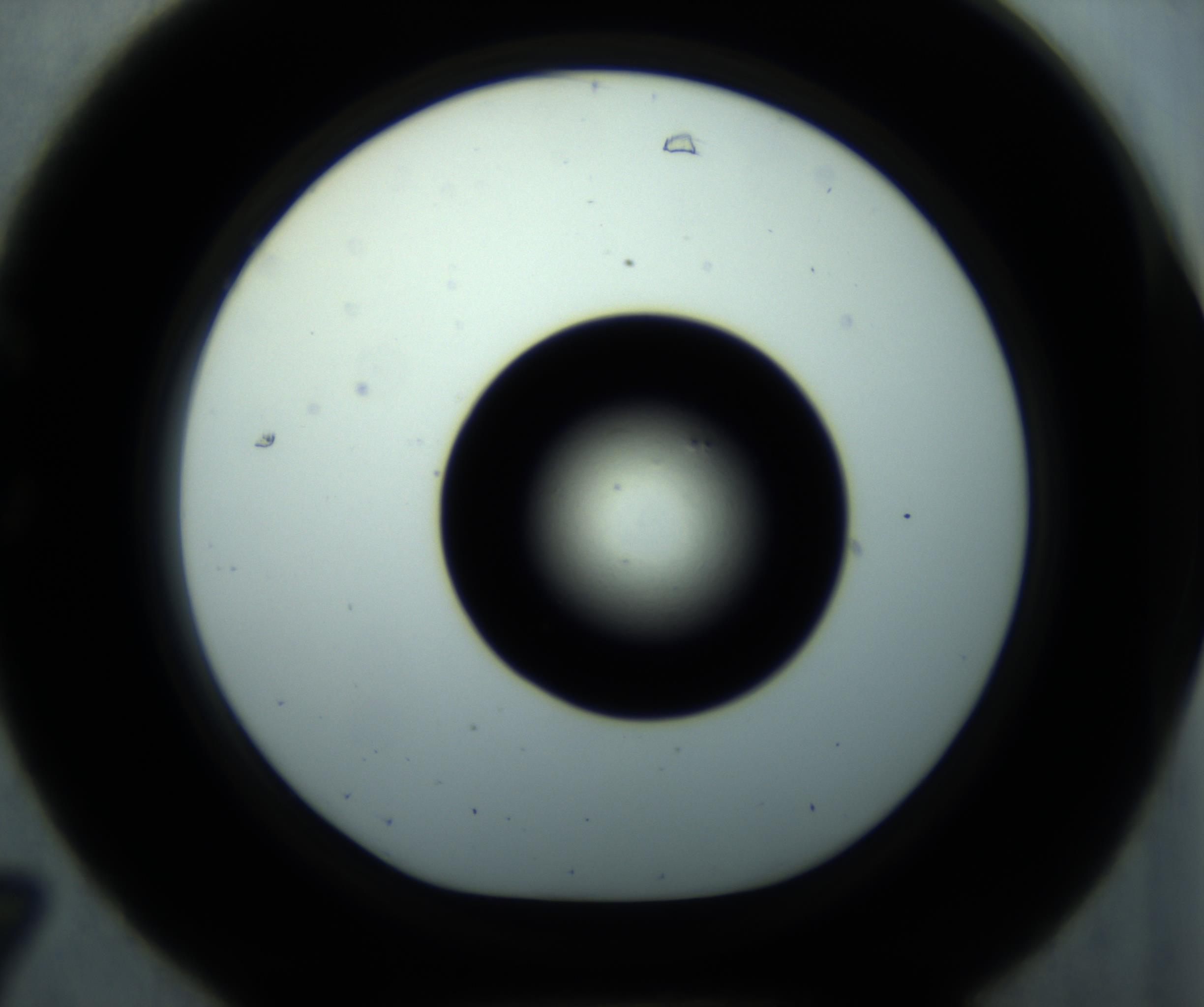 RI01_03_000_0212_Proj1_Clon1_MC_0000MC102897_001_161027_07_03_01_00_98_002_001_RAI.jpg