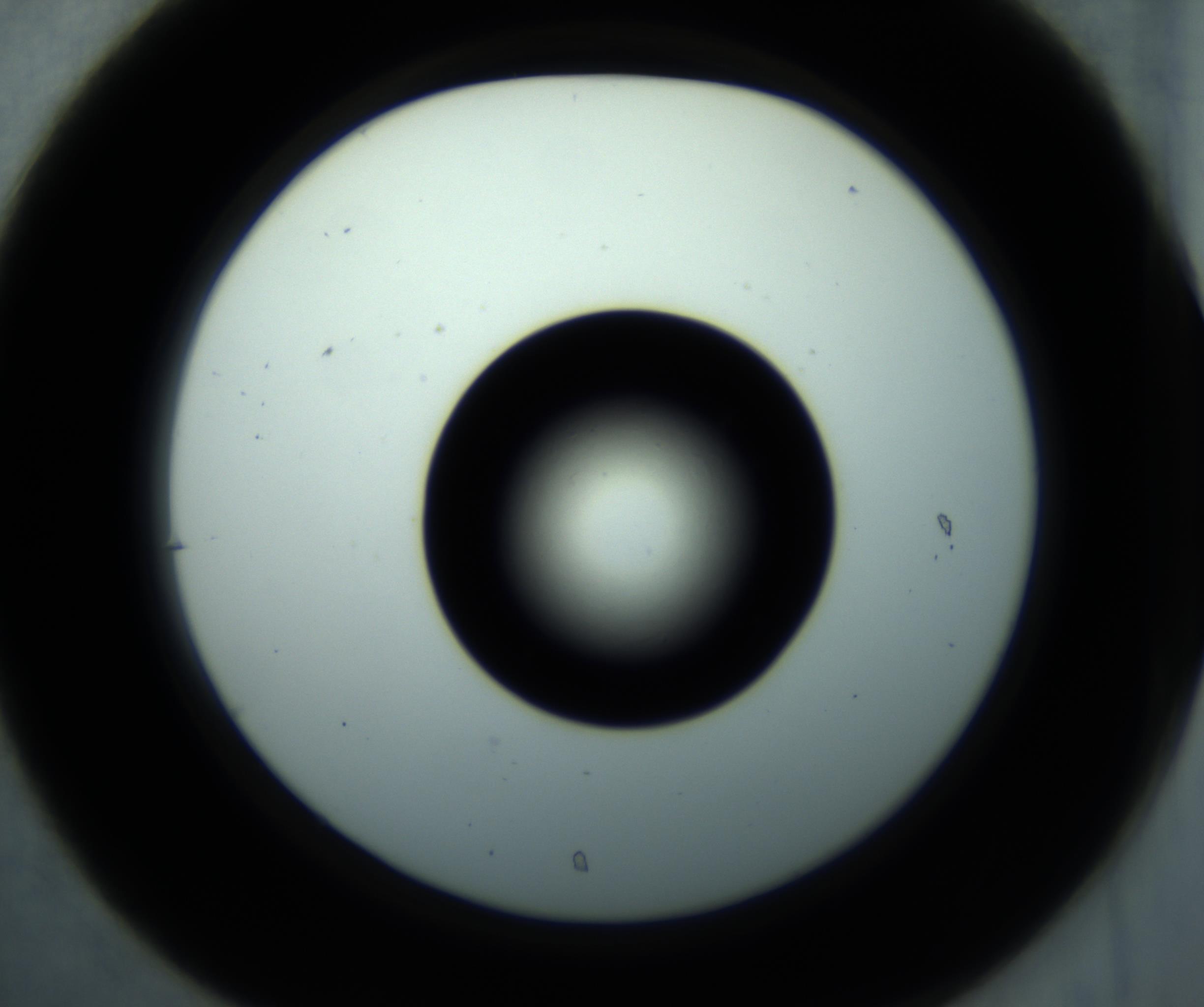 RI01_03_000_0212_Proj1_Clon1_MC_0000MC102897_001_161027_07_03_02_00_98_002_001_RAI.jpg