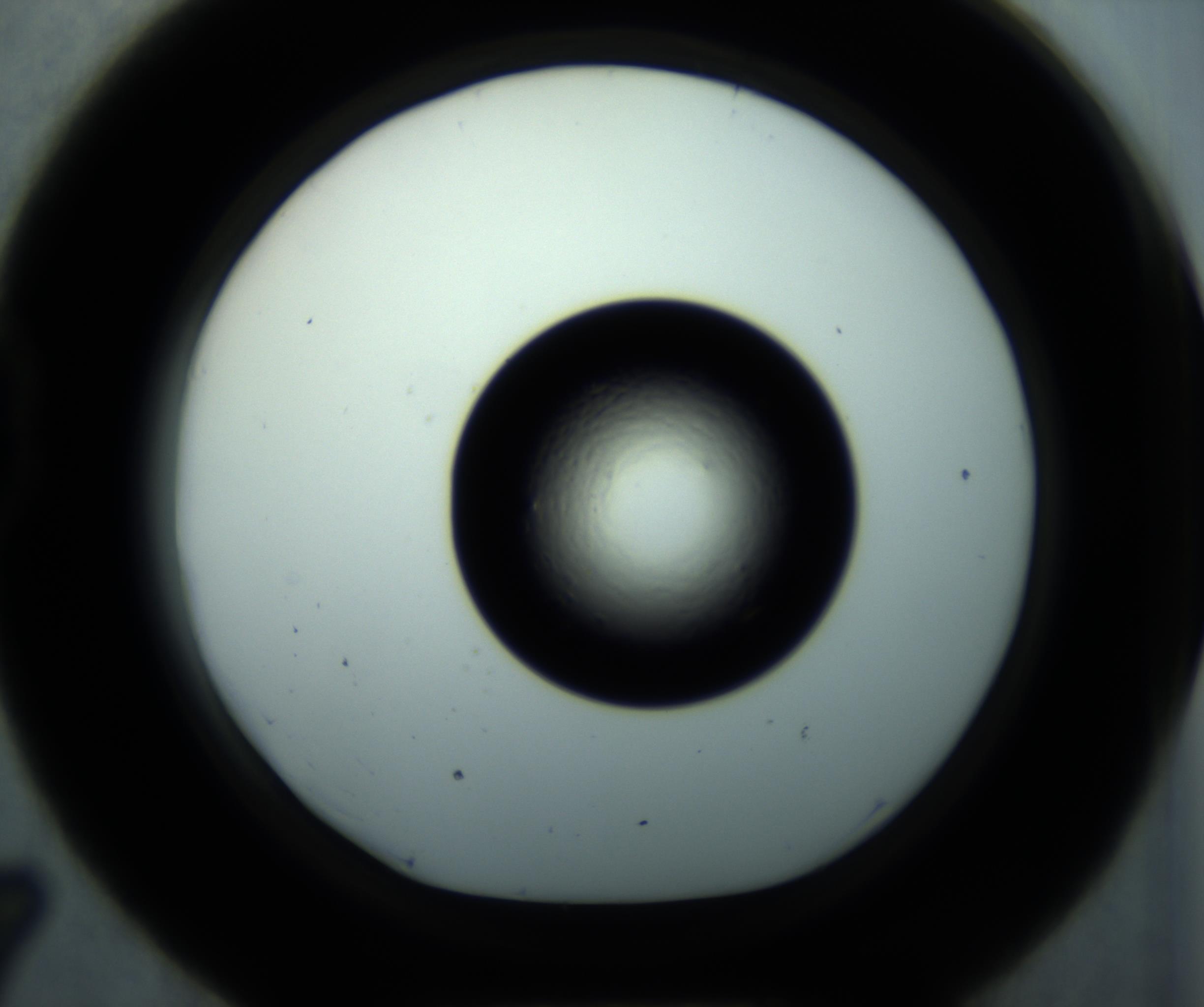 RI01_03_000_0212_Proj1_Clon1_MC_0000MC102897_001_161027_07_04_01_00_98_002_001_RAI.jpg