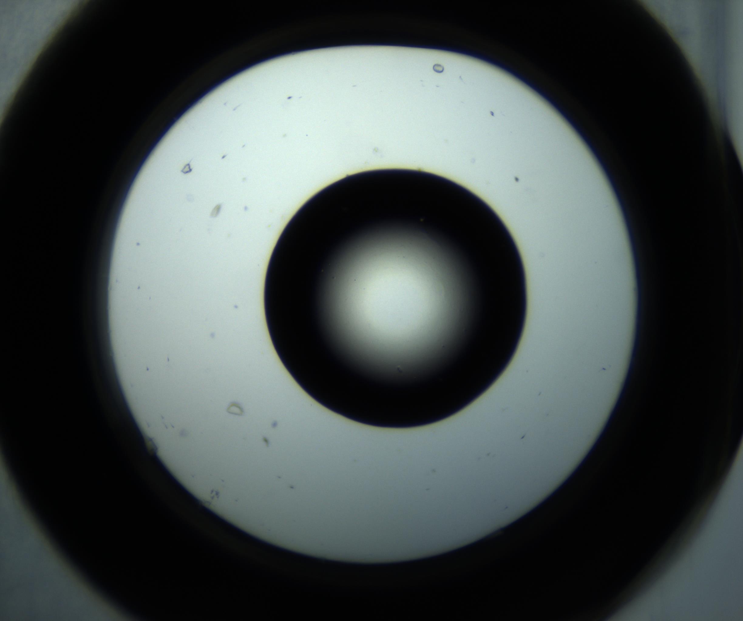 RI01_03_000_0212_Proj1_Clon1_MC_0000MC102897_001_161027_07_06_02_00_98_002_001_RAI.jpg