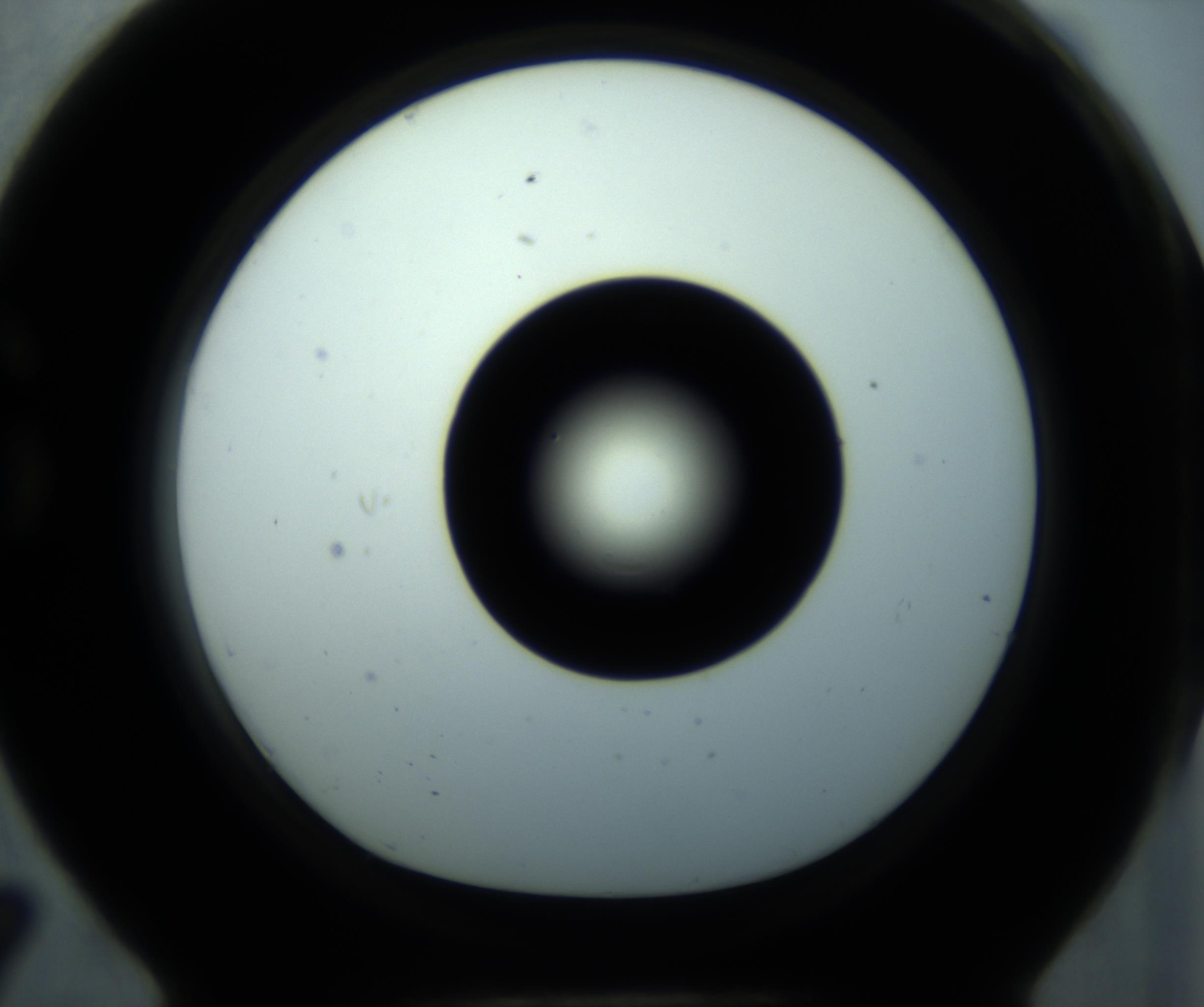 RI01_03_000_0212_Proj1_Clon1_MC_0000MC102897_001_161027_07_07_01_00_98_002_001_RAI.jpg