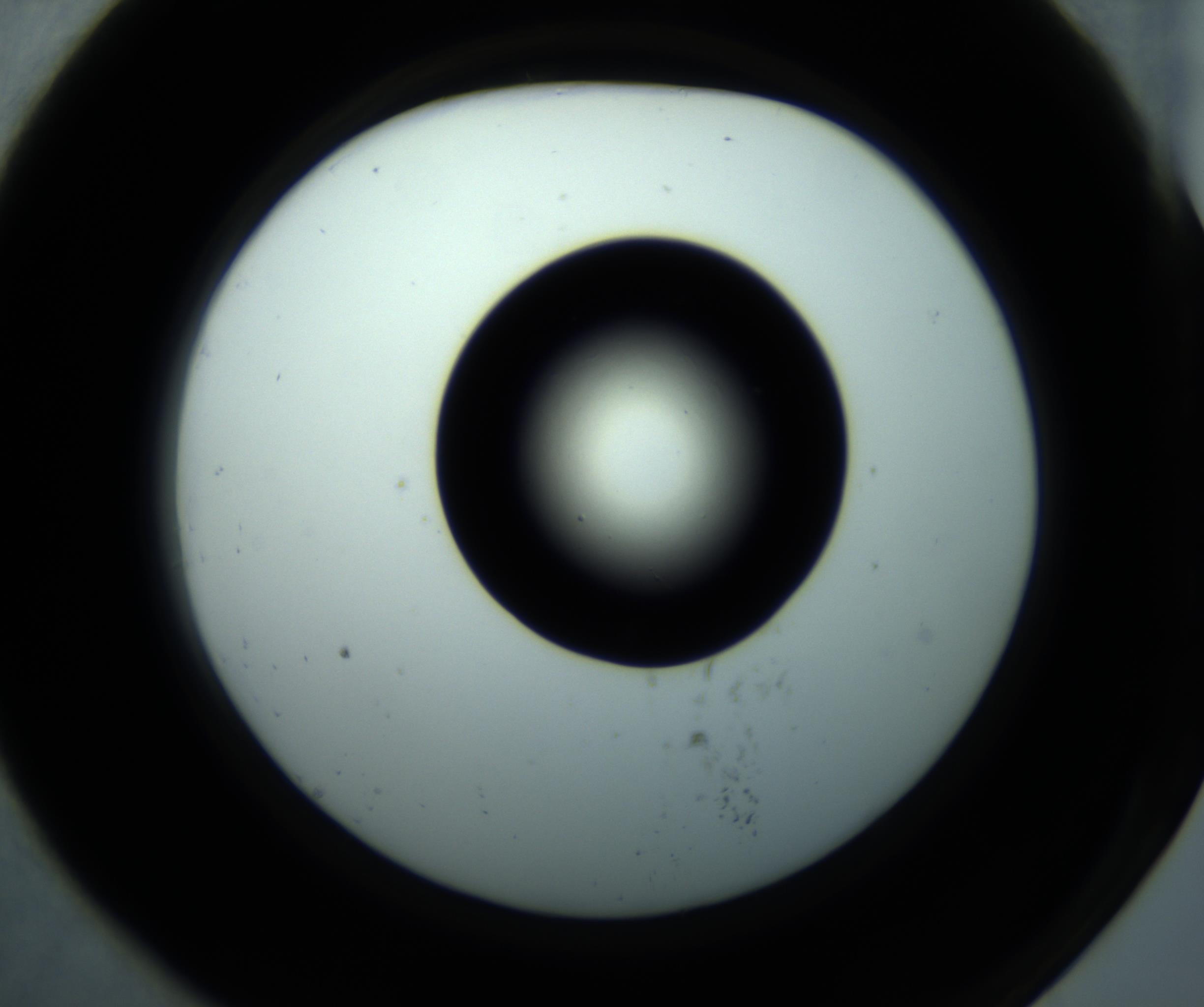 RI01_03_000_0212_Proj1_Clon1_MC_0000MC102897_001_161027_07_07_02_00_98_002_001_RAI.jpg