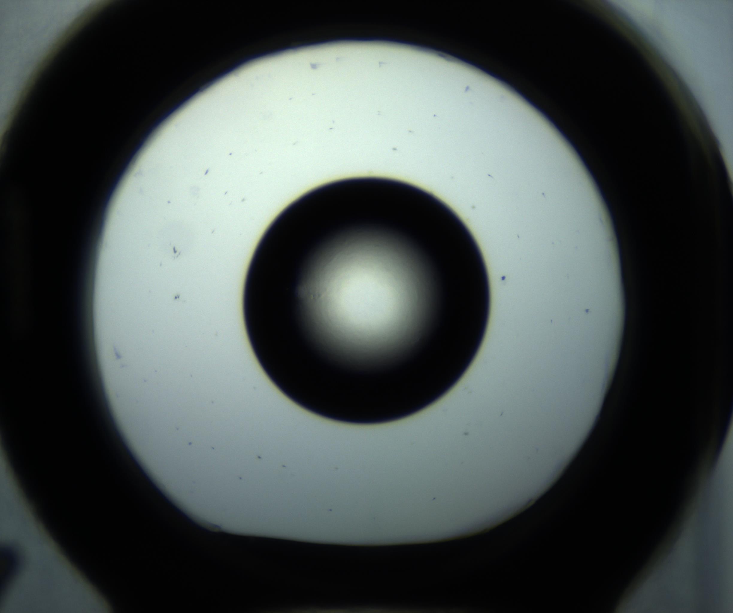RI01_03_000_0212_Proj1_Clon1_MC_0000MC102897_001_161027_07_08_01_00_98_002_001_RAI.jpg