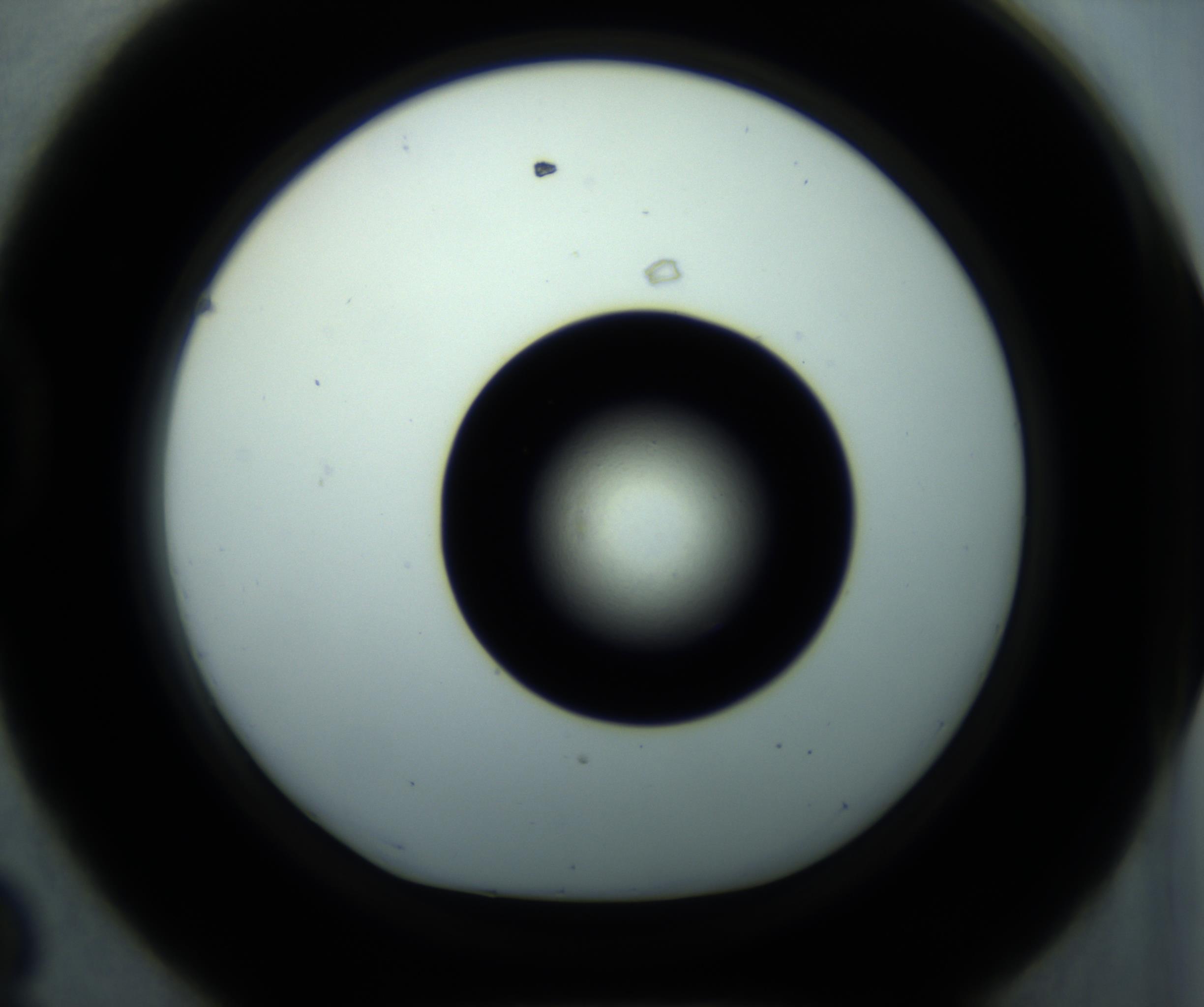 RI01_03_000_0212_Proj1_Clon1_MC_0000MC102897_001_161027_08_04_01_00_98_002_001_RAI.jpg