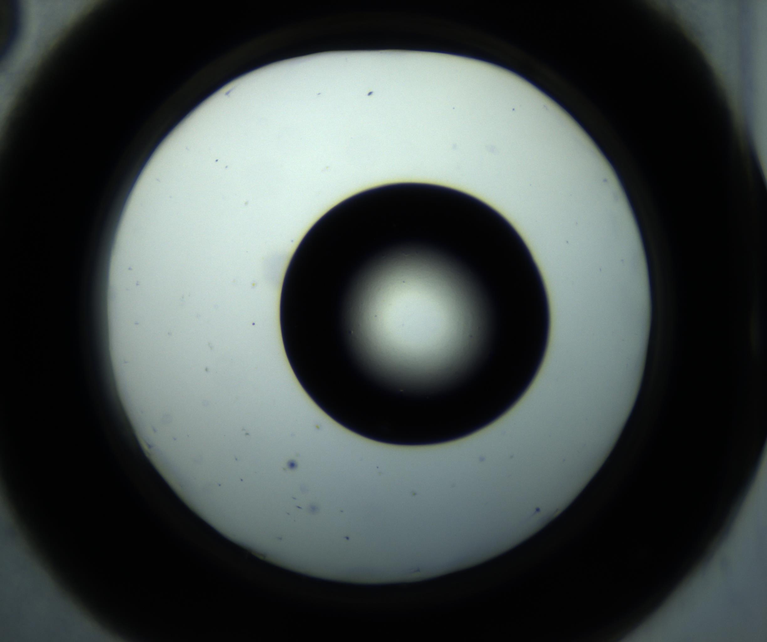 RI01_03_000_0212_Proj1_Clon1_MC_0000MC102897_001_161027_08_04_02_00_98_002_001_RAI.jpg