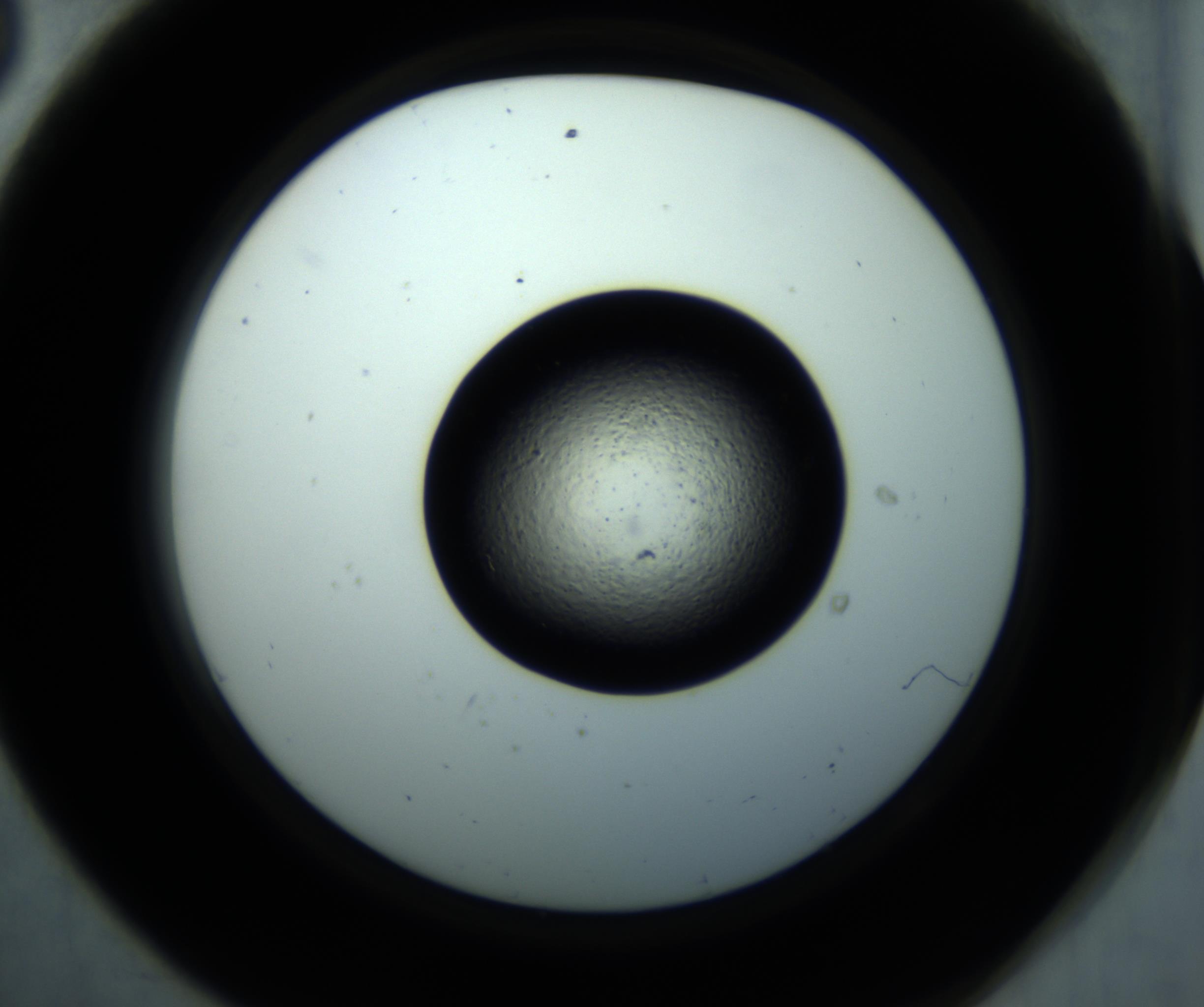 RI01_03_000_0212_Proj1_Clon1_MC_0000MC102897_001_161027_08_05_02_00_98_002_001_RAI.jpg