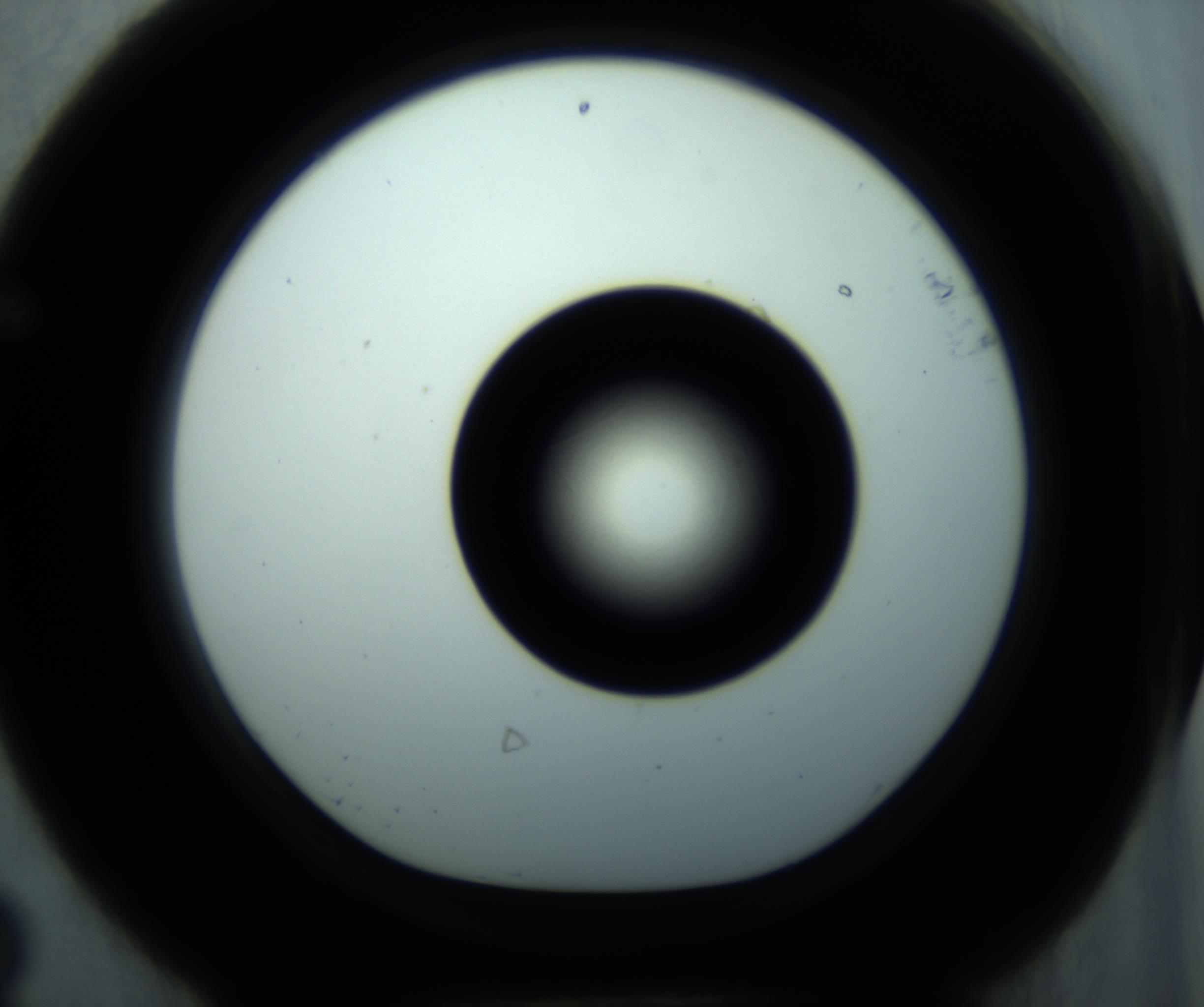 RI01_03_000_0212_Proj1_Clon1_MC_0000MC102897_001_161027_08_06_01_00_98_002_001_RAI.jpg