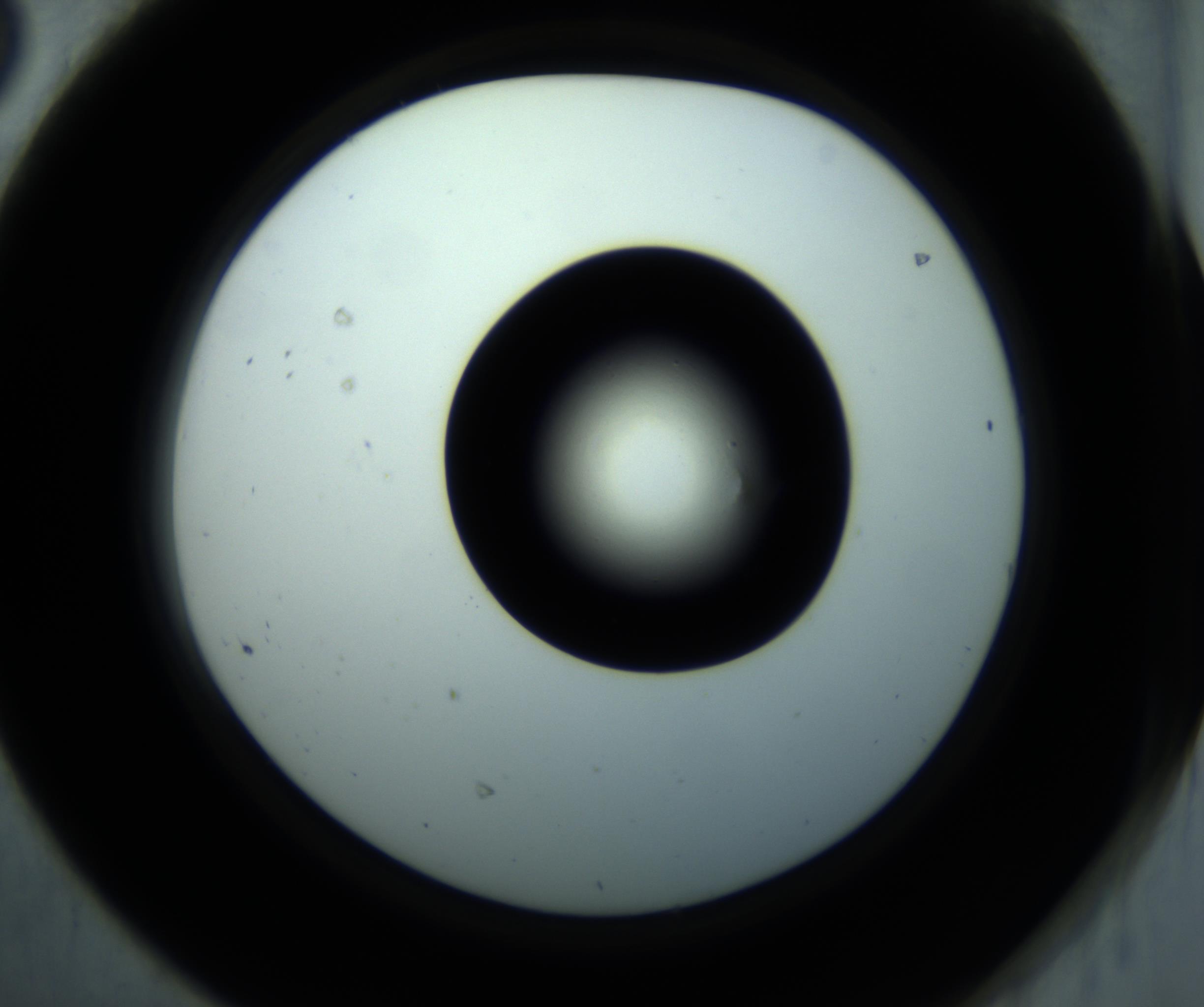 RI01_03_000_0212_Proj1_Clon1_MC_0000MC102897_001_161027_08_06_02_00_98_002_001_RAI.jpg