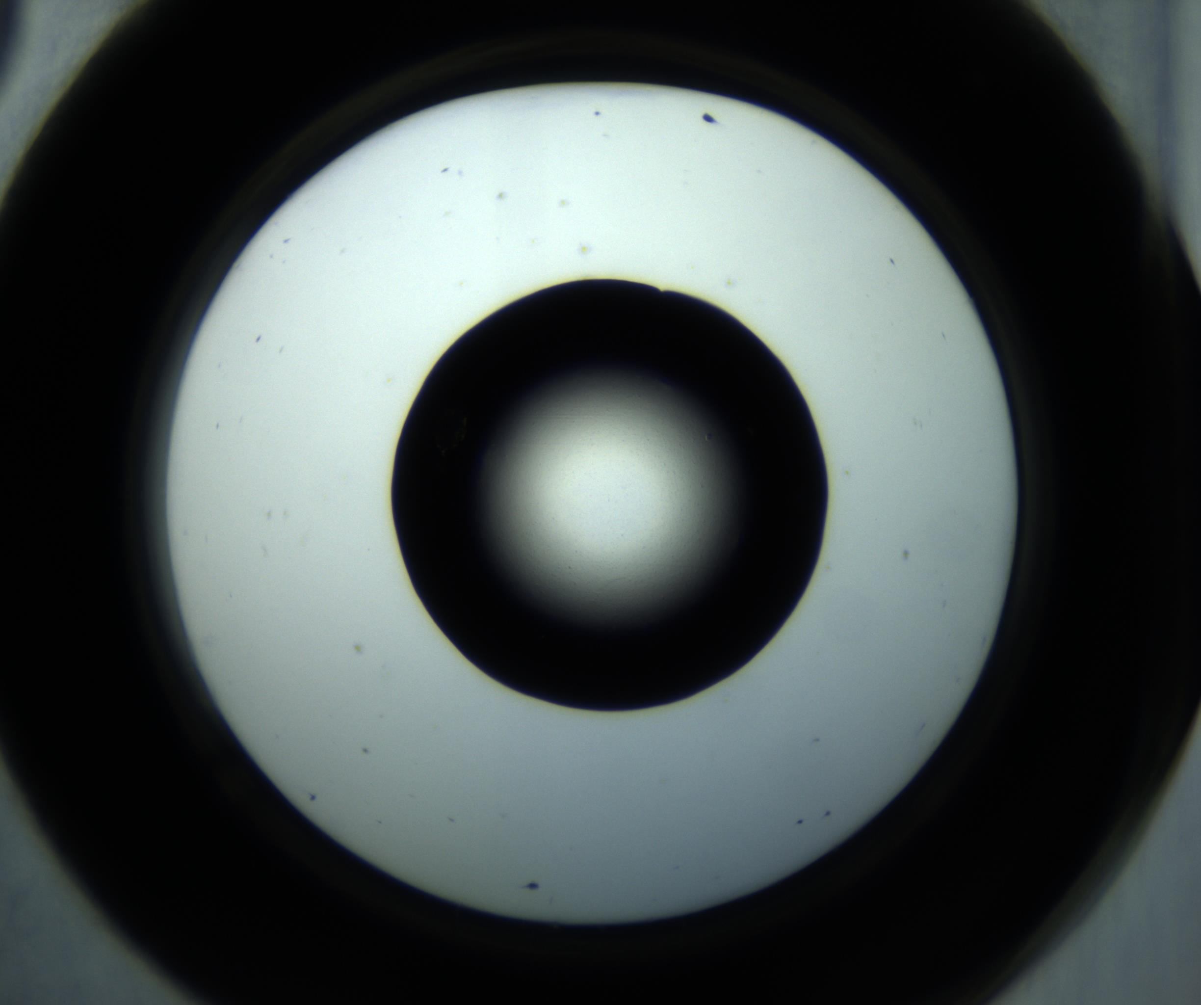 RI01_03_000_0212_Proj1_Clon1_MC_0000MC102897_001_161027_09_06_02_00_98_002_001_RAI.jpg