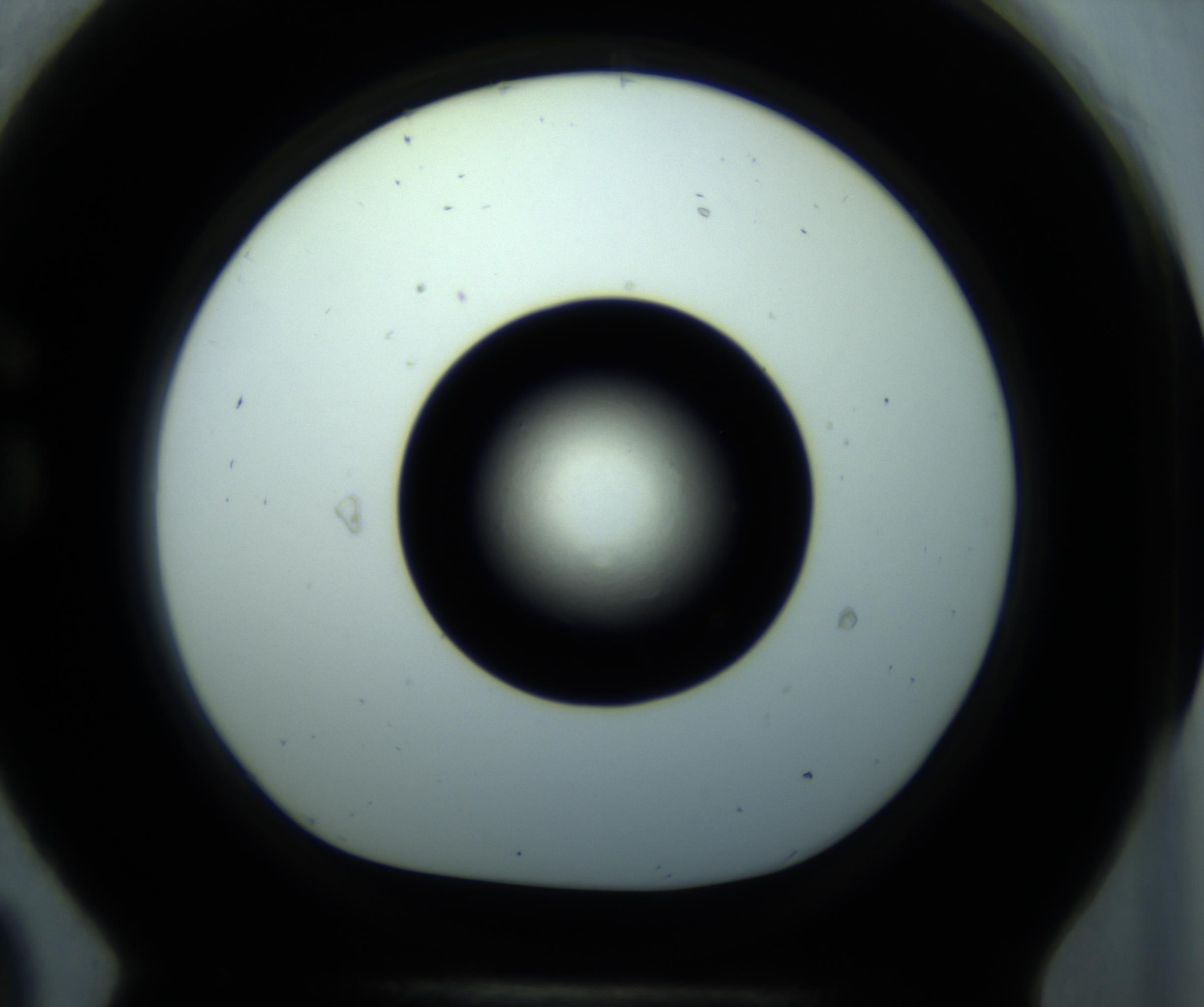 RI01_03_000_0212_Proj1_Clon1_MC_0000MC102897_001_161027_09_07_01_00_98_002_001_RAI.jpg