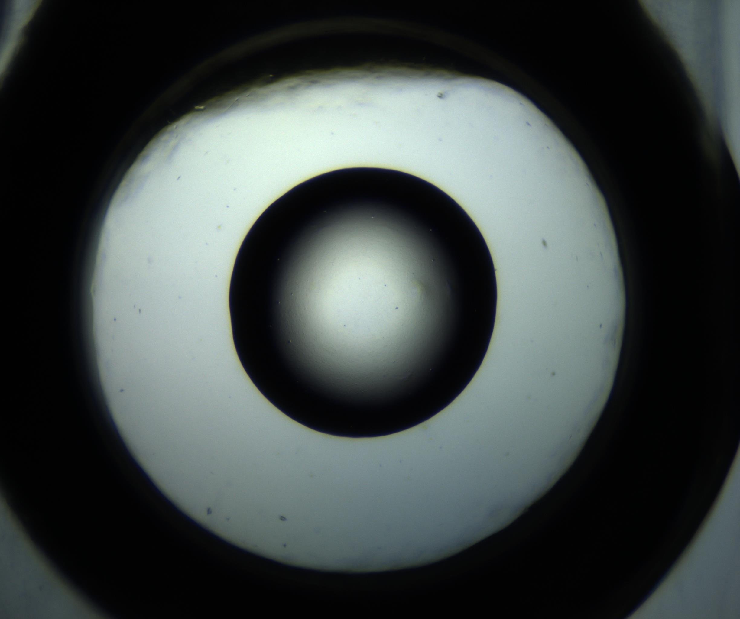 RI01_03_000_0212_Proj1_Clon1_MC_0000MC102897_001_161027_09_07_02_00_98_002_001_RAI.jpg