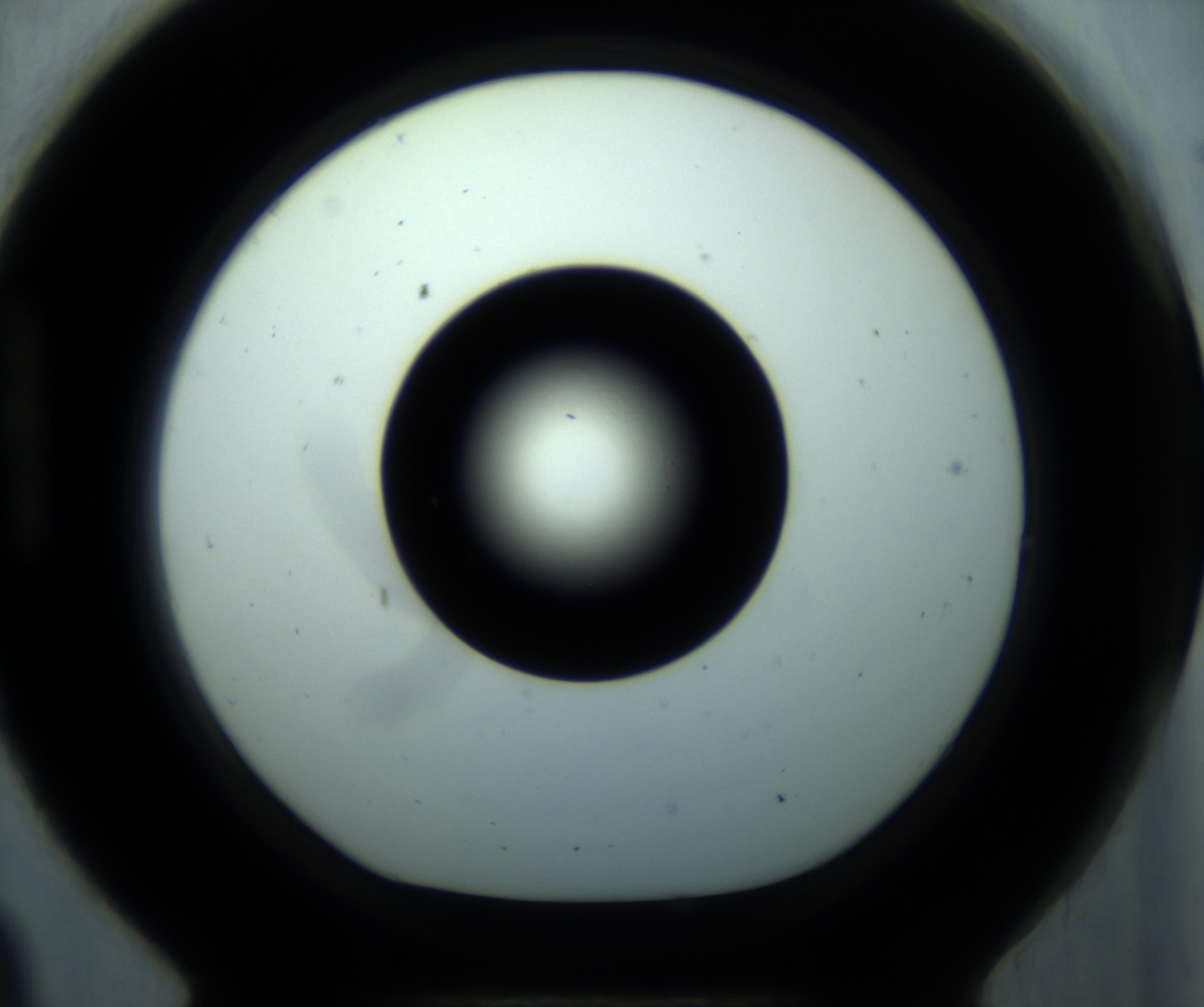 RI01_03_000_0212_Proj1_Clon1_MC_0000MC102897_001_161027_09_08_01_00_98_002_001_RAI.jpg
