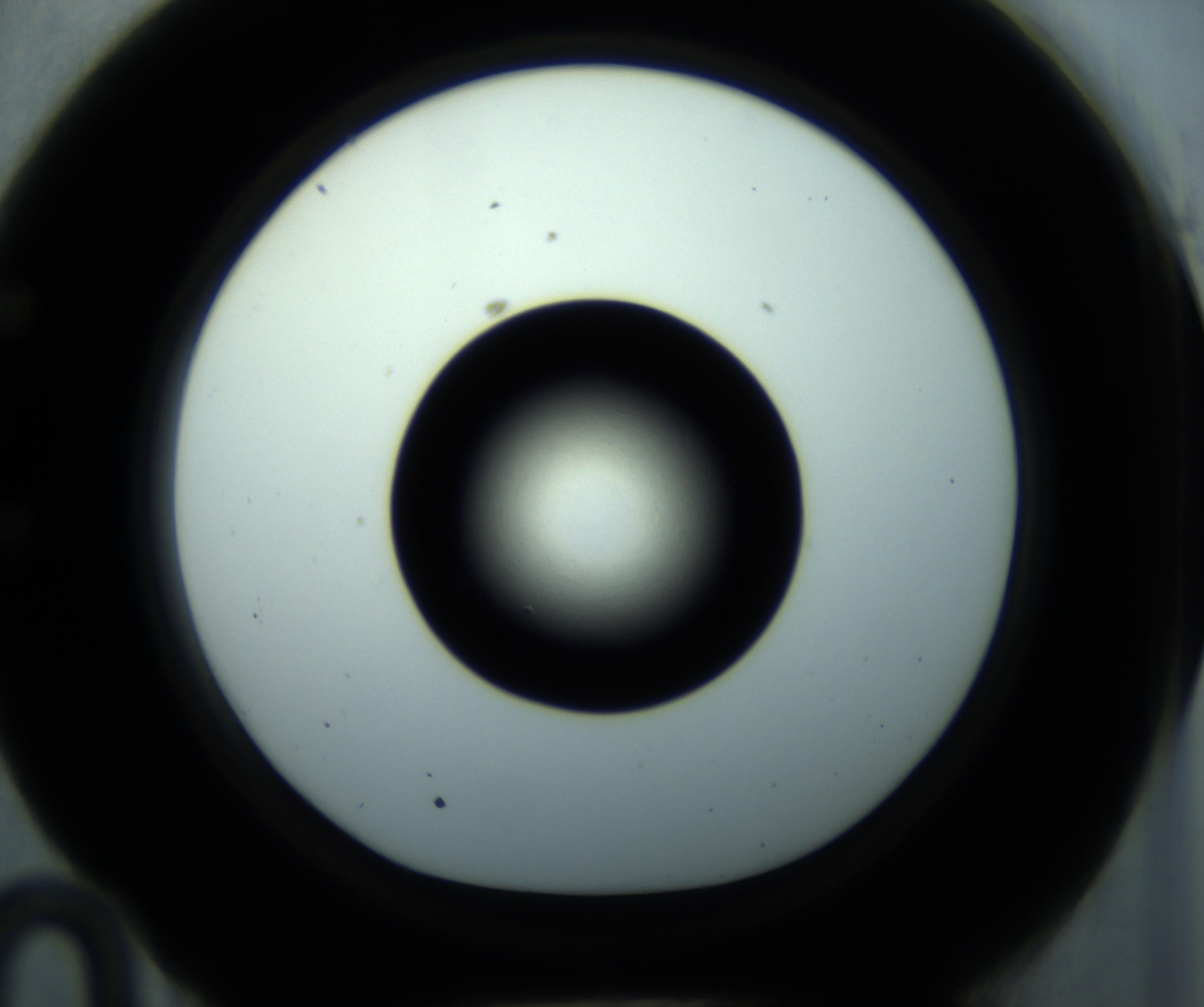 RI01_03_000_0212_Proj1_Clon1_MC_0000MC102897_001_161027_10_05_01_00_98_002_001_RAI.jpg