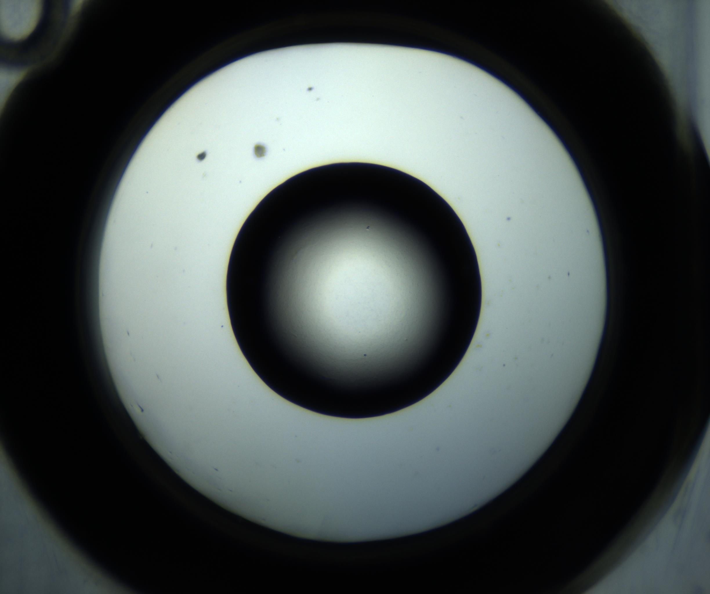 RI01_03_000_0212_Proj1_Clon1_MC_0000MC102897_001_161027_10_05_02_00_98_002_001_RAI.jpg