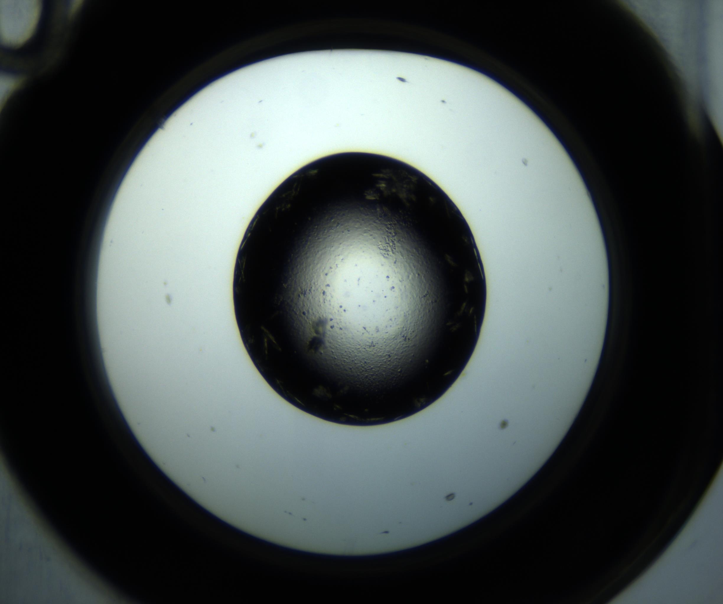 RI01_03_000_0212_Proj1_Clon1_MC_0000MC102897_001_161027_10_06_02_00_98_002_001_RAI.jpg