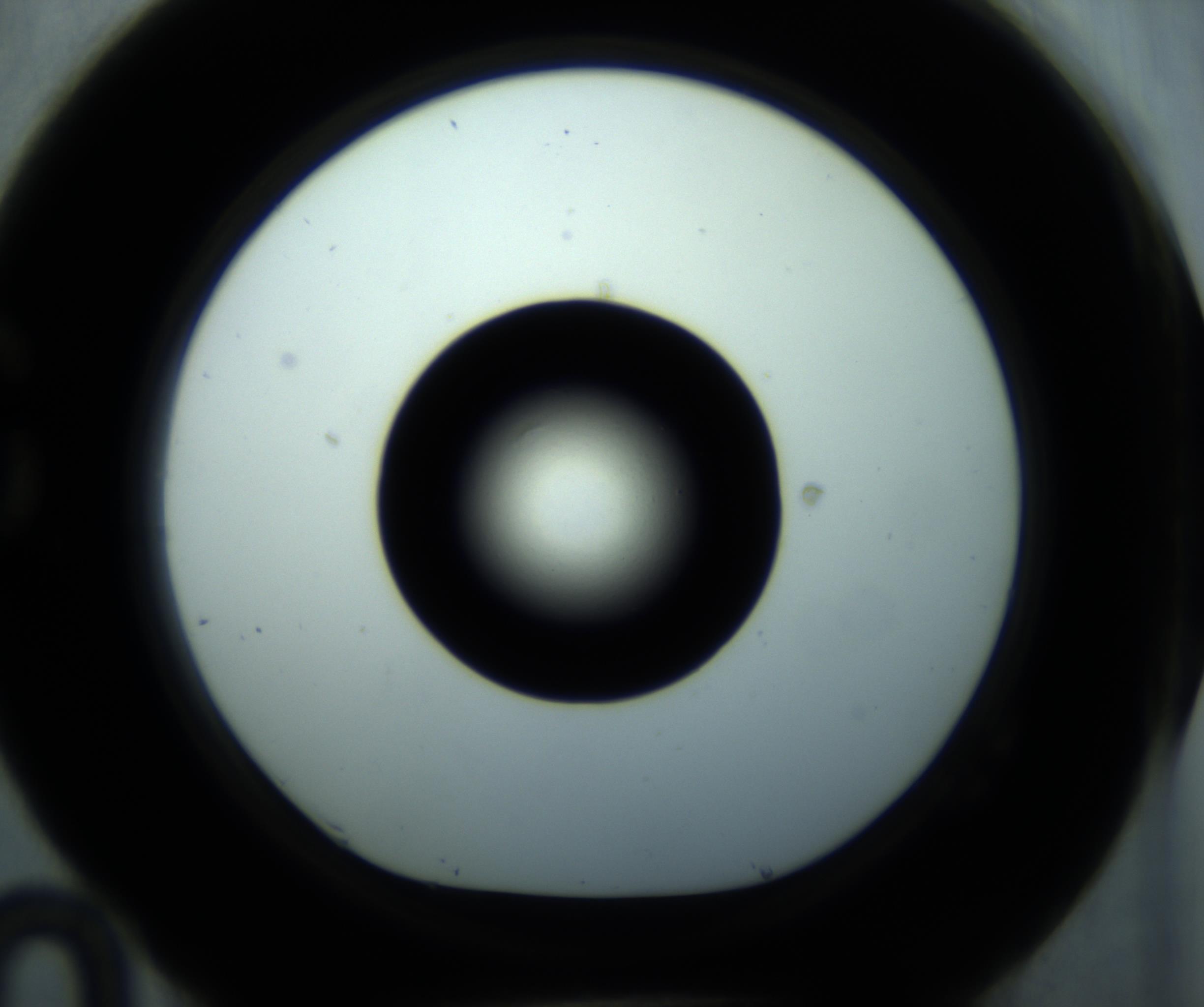 RI01_03_000_0212_Proj1_Clon1_MC_0000MC102897_001_161027_10_07_01_00_98_002_001_RAI.jpg