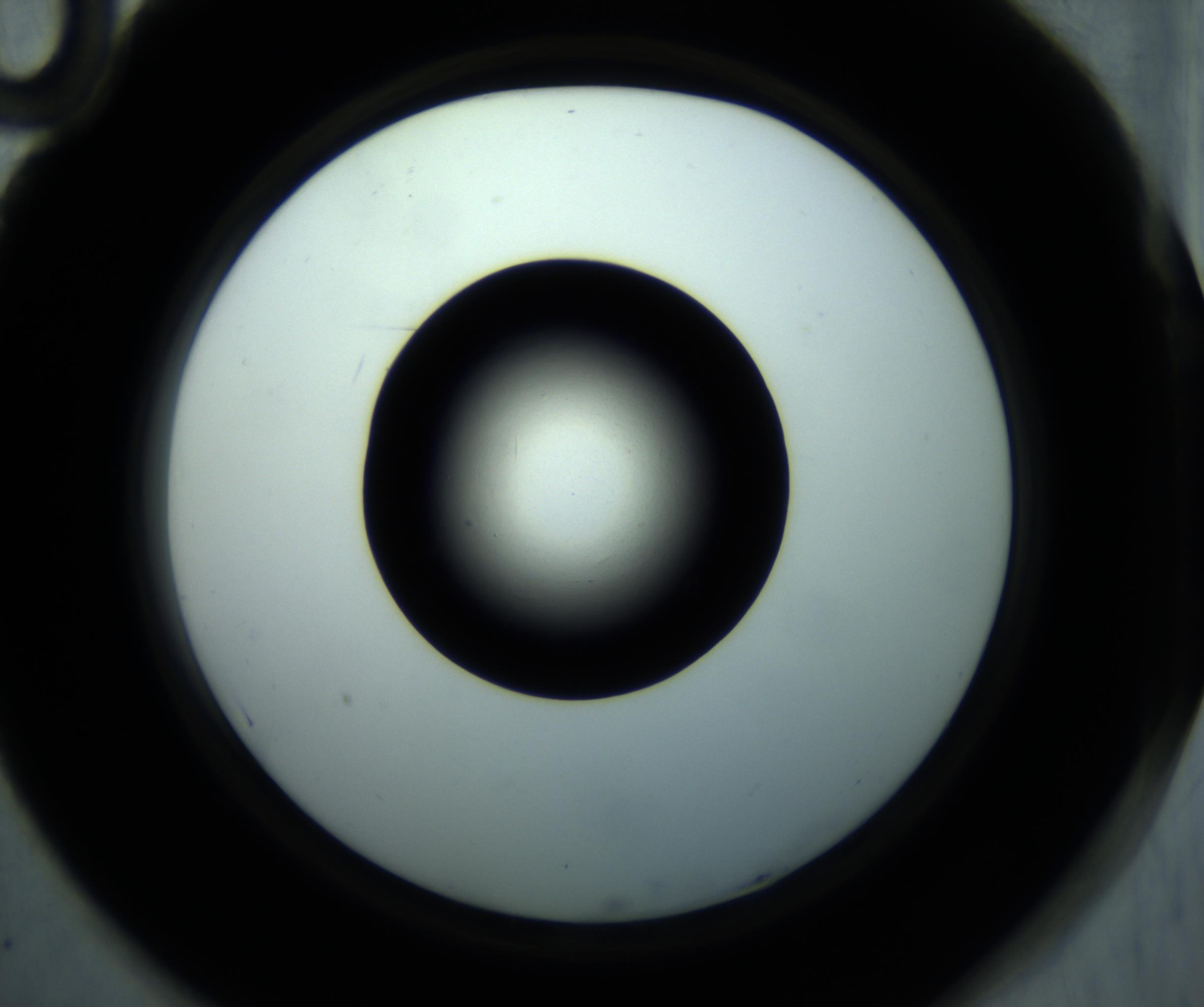 RI01_03_000_0212_Proj1_Clon1_MC_0000MC102897_001_161027_10_07_02_00_98_002_001_RAI.jpg