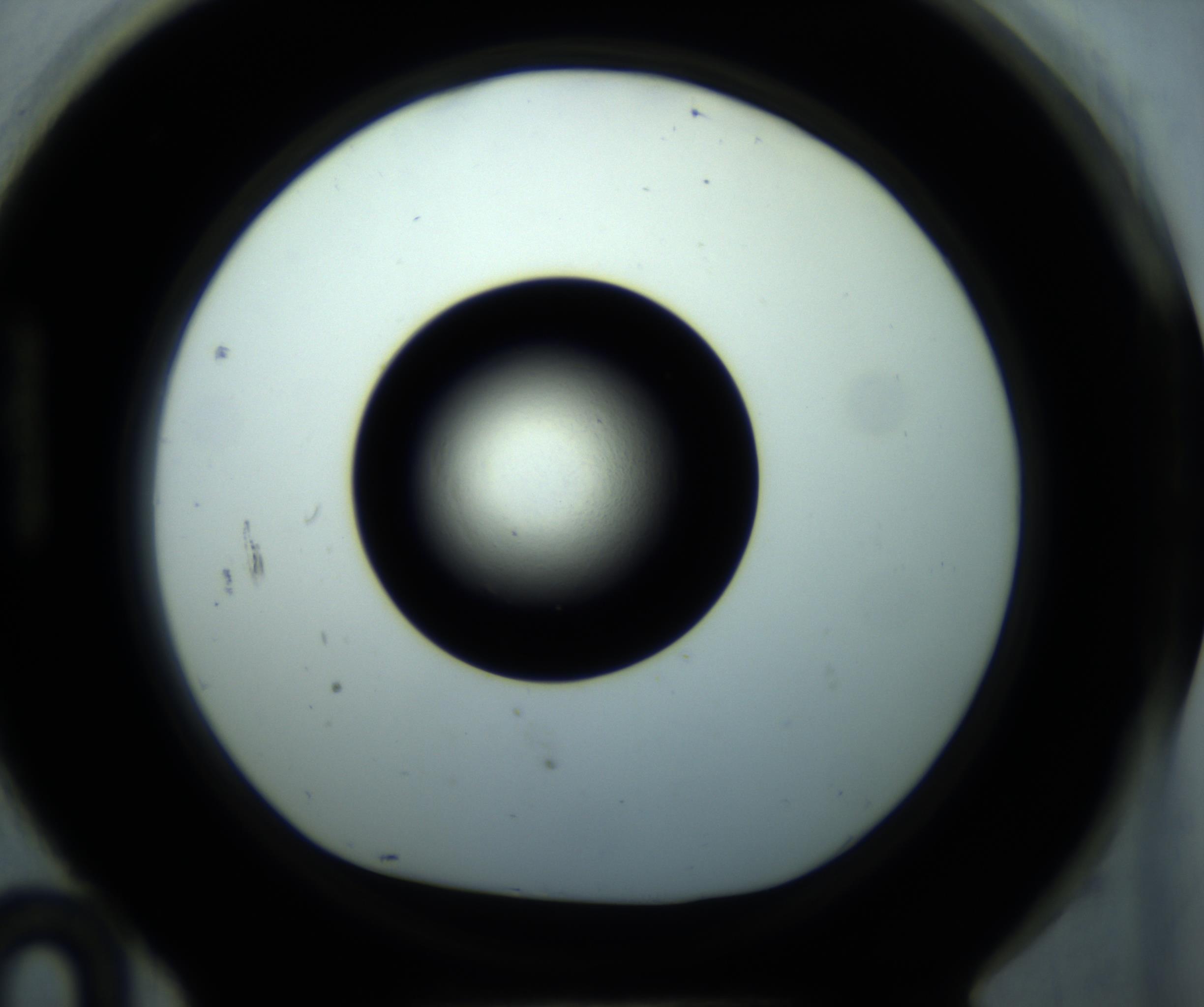 RI01_03_000_0212_Proj1_Clon1_MC_0000MC102897_001_161027_10_08_01_00_98_002_001_RAI.jpg