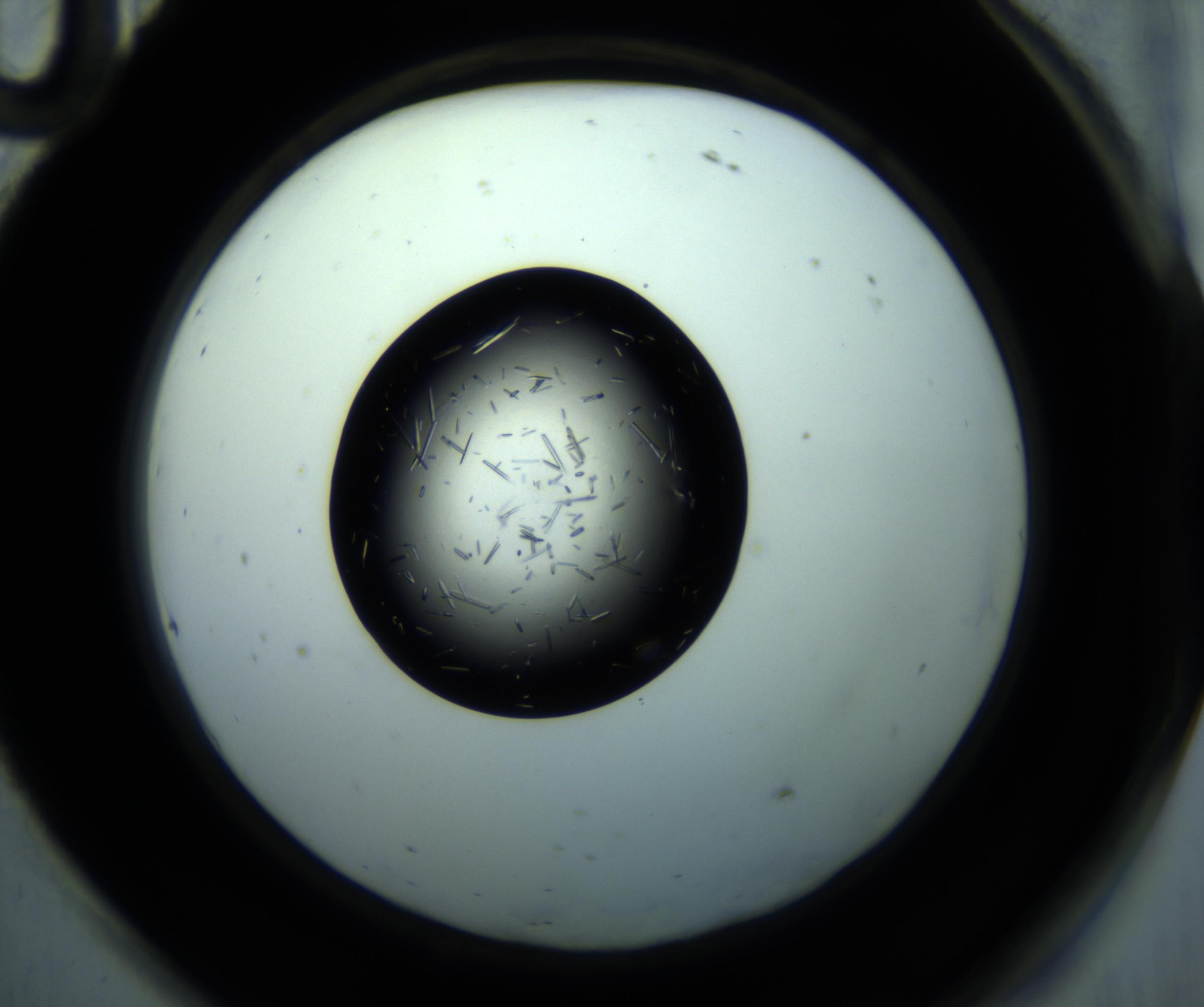 RI01_03_000_0212_Proj1_Clon1_MC_0000MC102897_001_161027_10_08_02_00_98_002_001_RAI.jpg