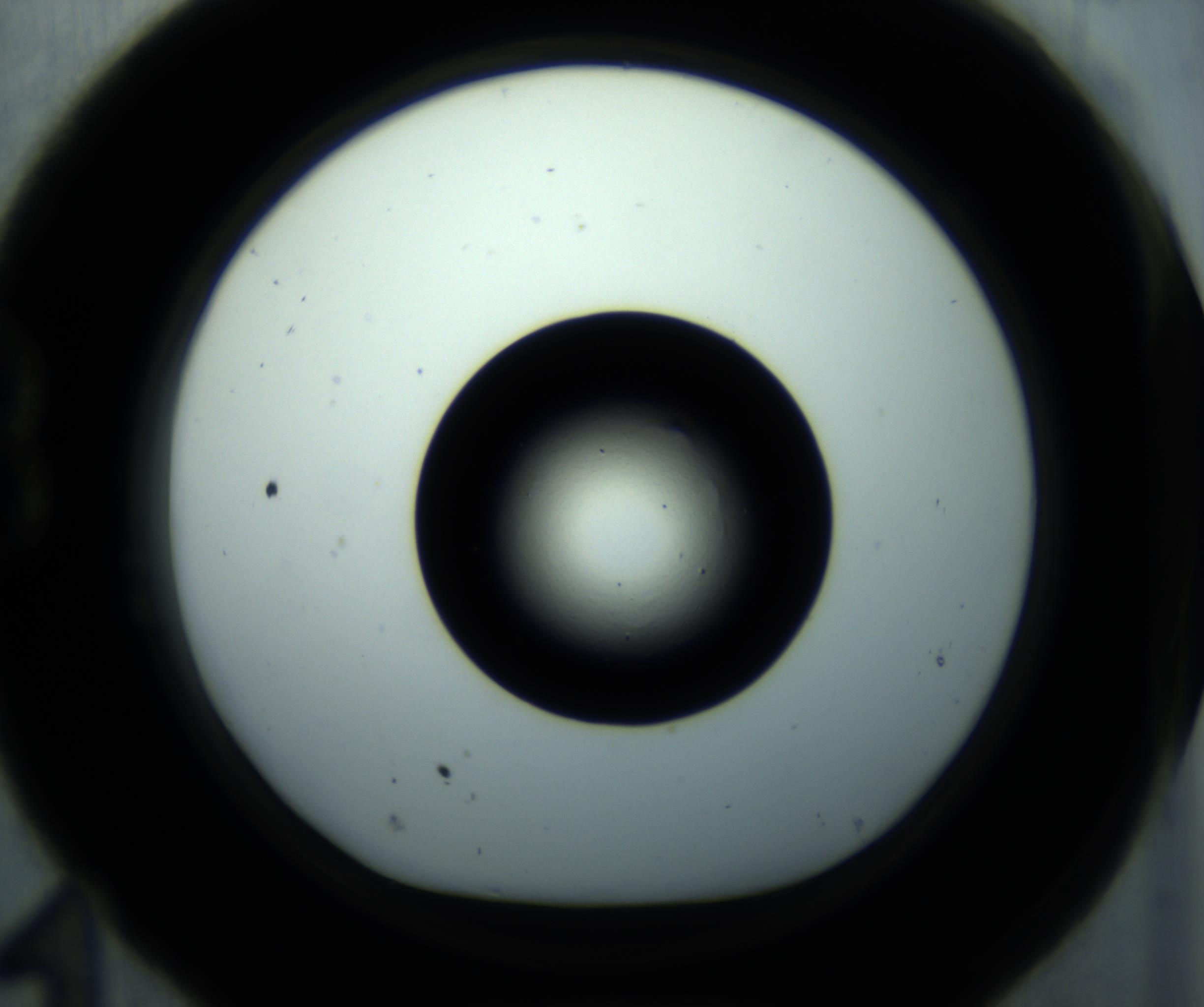 RI01_03_000_0212_Proj1_Clon1_MC_0000MC102897_001_161027_11_02_01_00_98_002_001_RAI.jpg