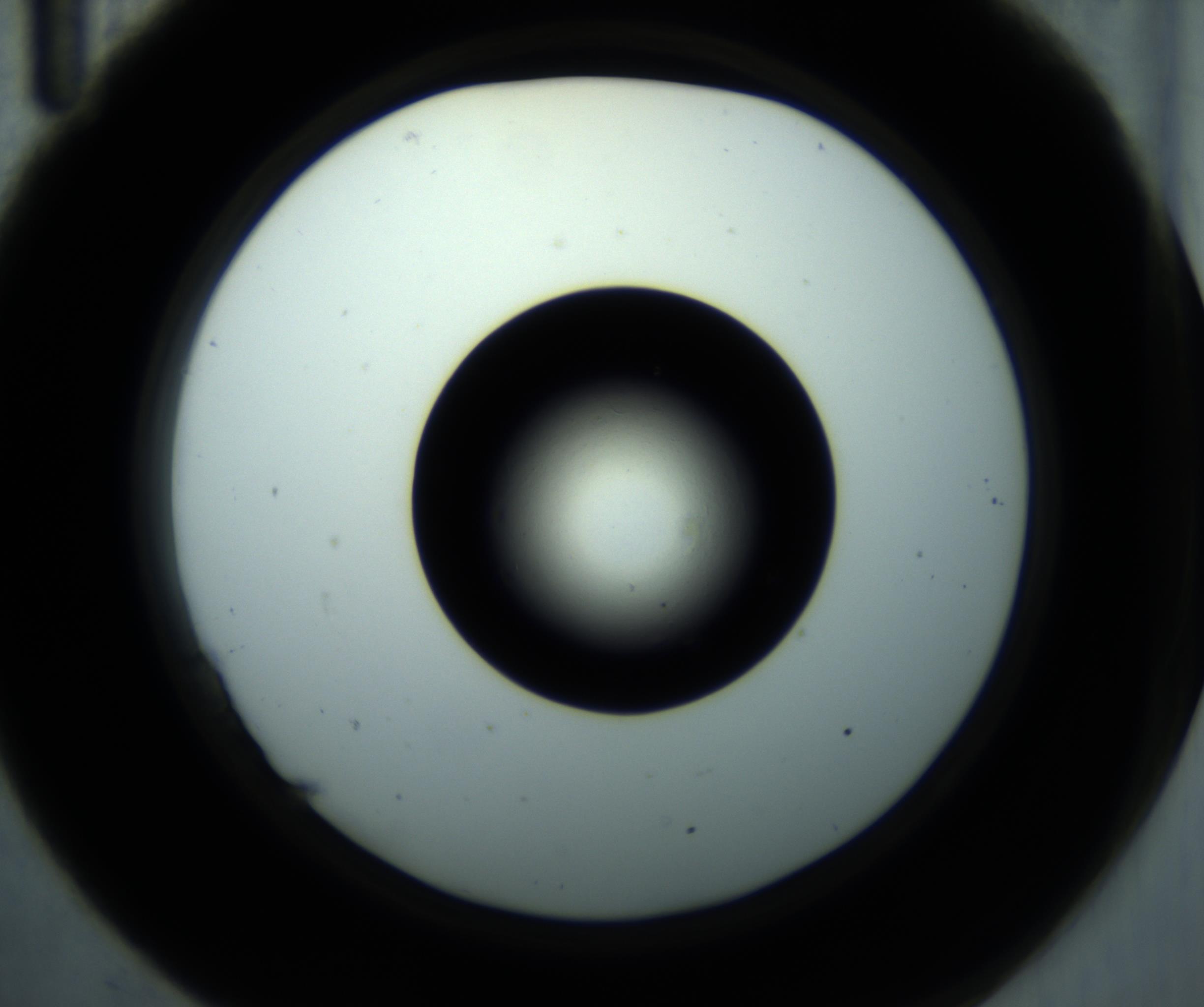 RI01_03_000_0212_Proj1_Clon1_MC_0000MC102897_001_161027_11_02_02_00_98_002_001_RAI.jpg