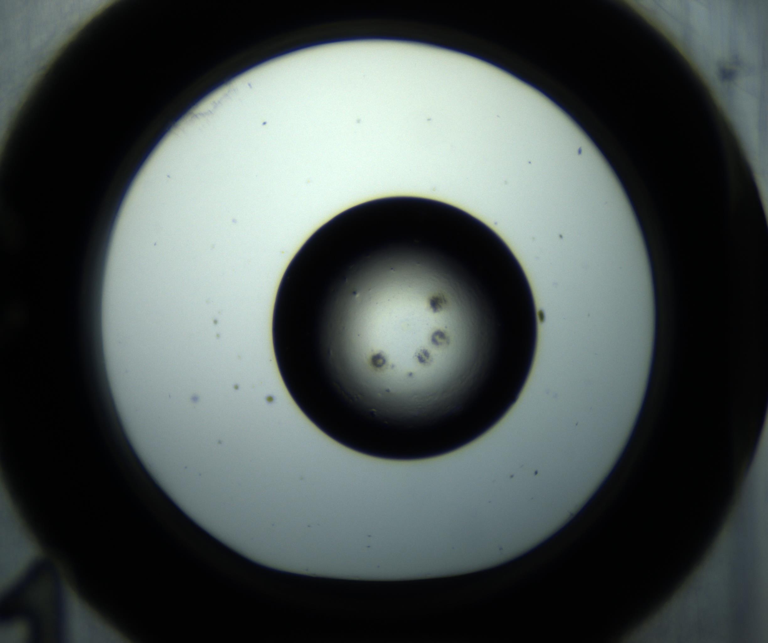 RI01_03_000_0212_Proj1_Clon1_MC_0000MC102897_001_161027_11_03_01_00_98_002_001_RAI.jpg