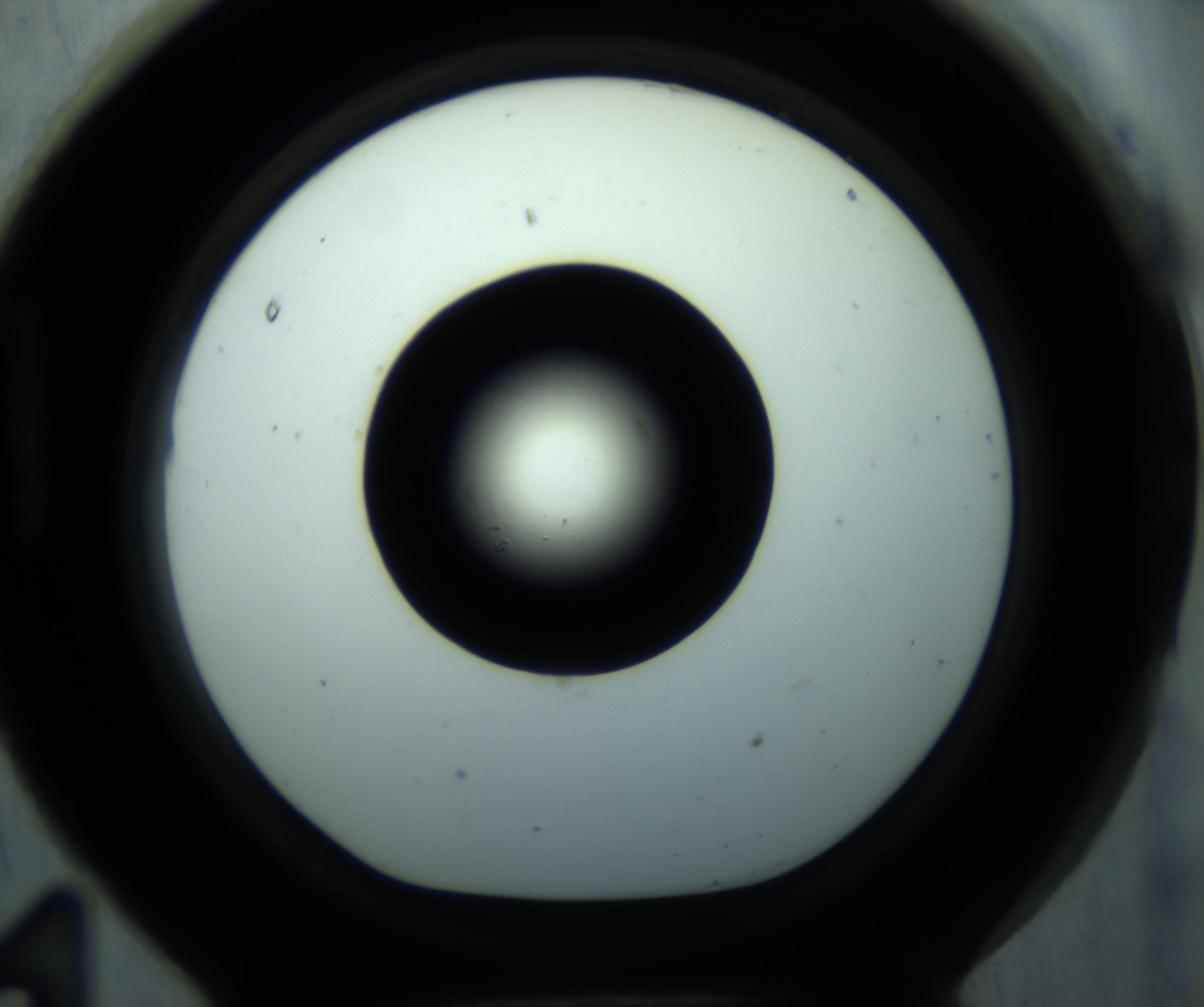 RI01_03_000_0212_Proj1_Clon1_MC_0000MC102897_001_161027_11_08_01_00_98_002_001_RAI.jpg