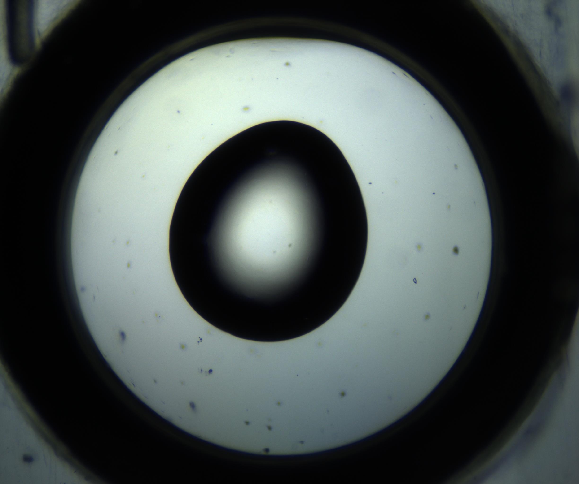 RI01_03_000_0212_Proj1_Clon1_MC_0000MC102897_001_161027_11_08_02_00_98_002_001_RAI.jpg