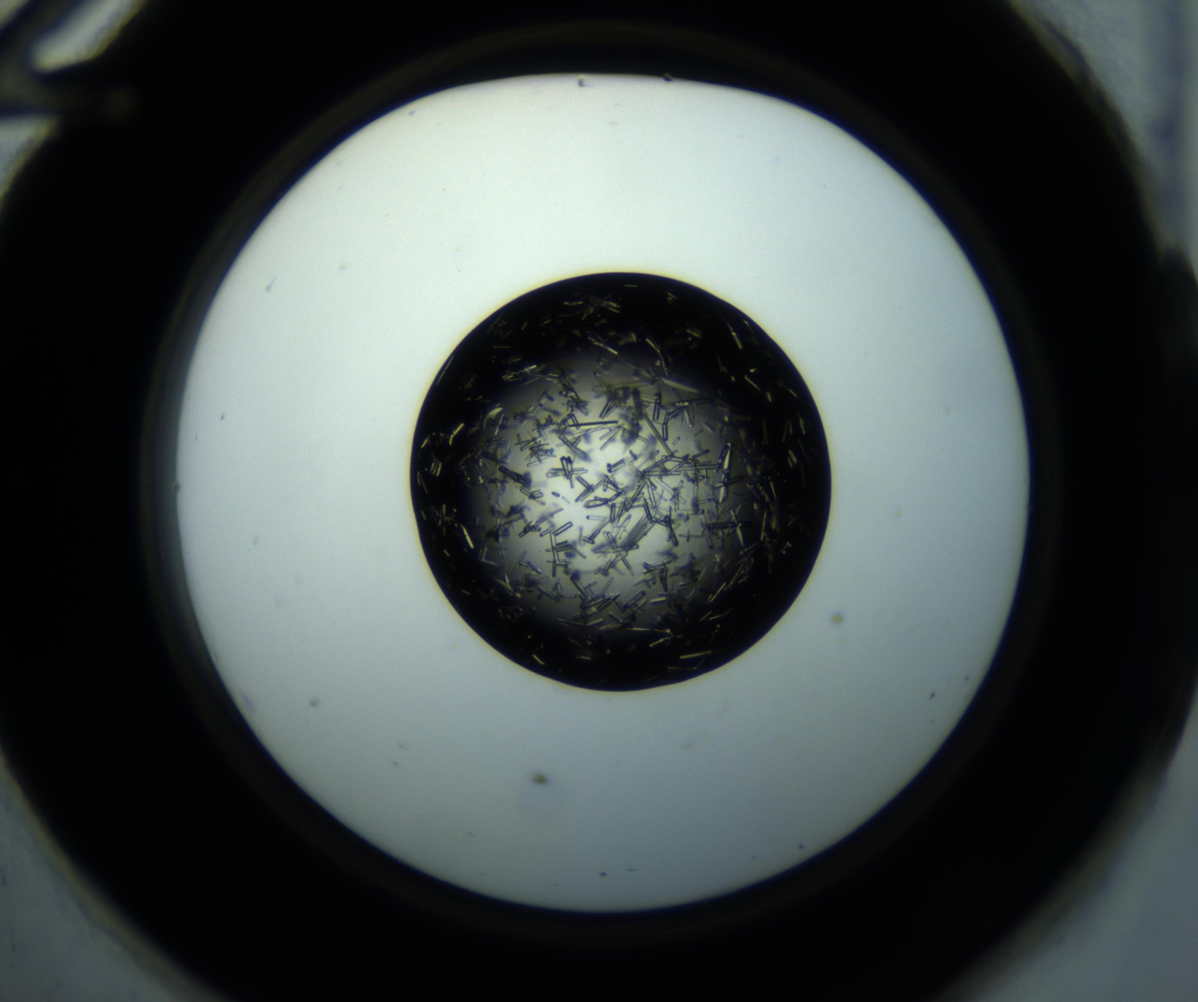 RI01_03_000_0212_Proj1_Clon1_MC_0000MC102897_001_161027_12_05_02_00_98_002_001_RAI.jpg
