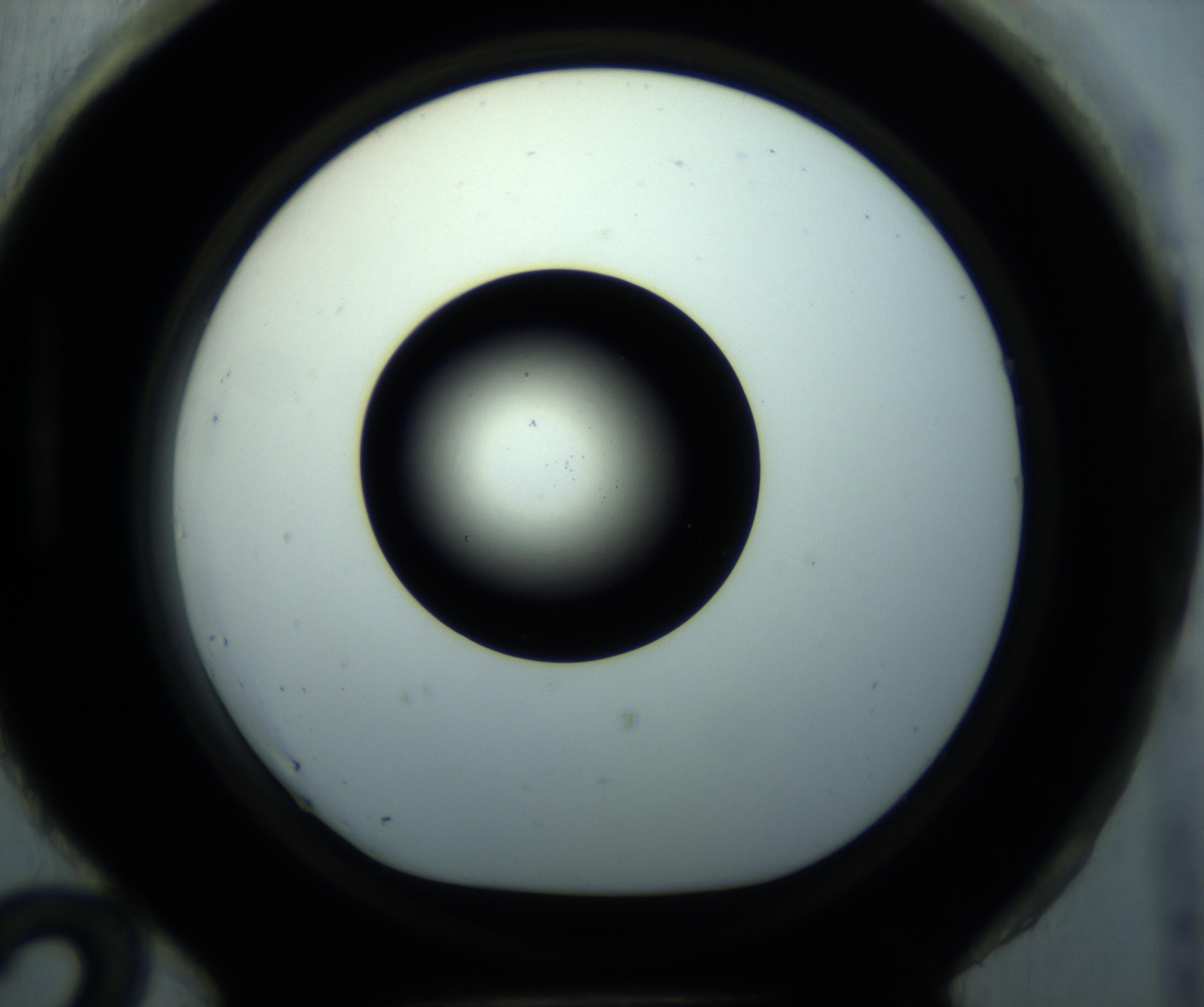 RI01_03_000_0212_Proj1_Clon1_MC_0000MC102897_001_161027_12_08_01_00_98_002_001_RAI.jpg