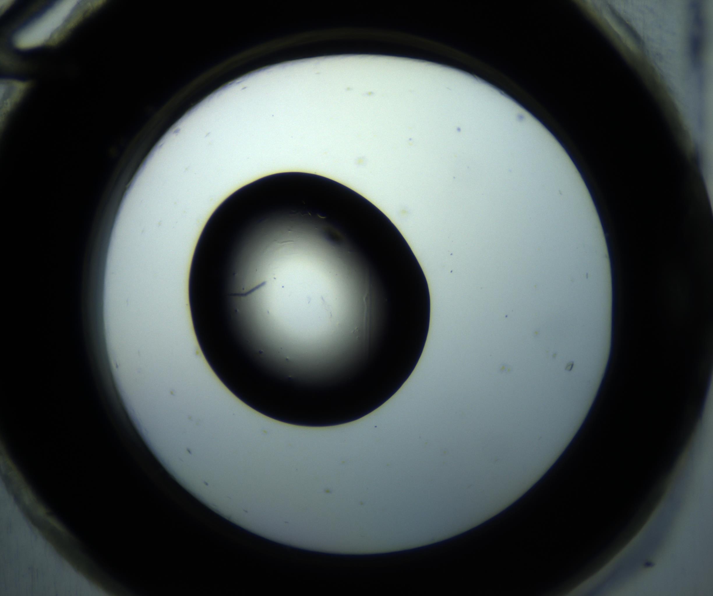 RI01_03_000_0212_Proj1_Clon1_MC_0000MC102897_001_161027_12_08_02_00_98_002_001_RAI.jpg