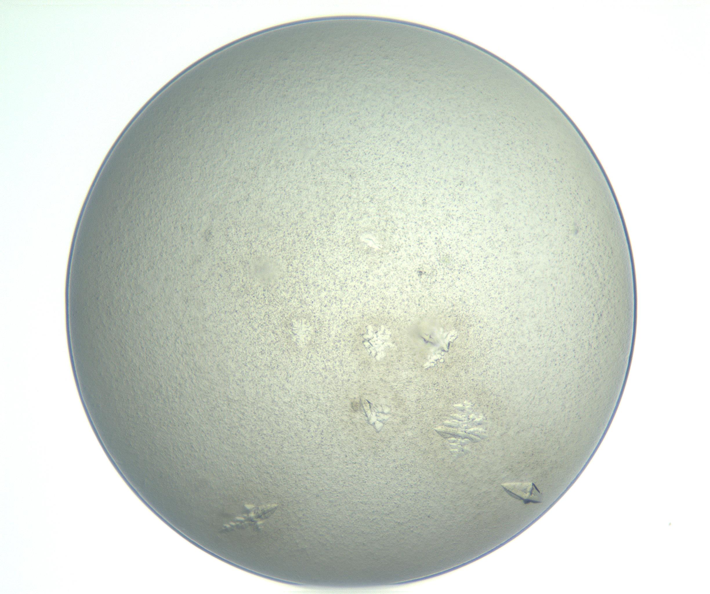 RI01_03_000_0212_Proj1_Clon1_MC_0000MC102898_002_161027_07_04_01_00_99_002_001_RAI.jpg