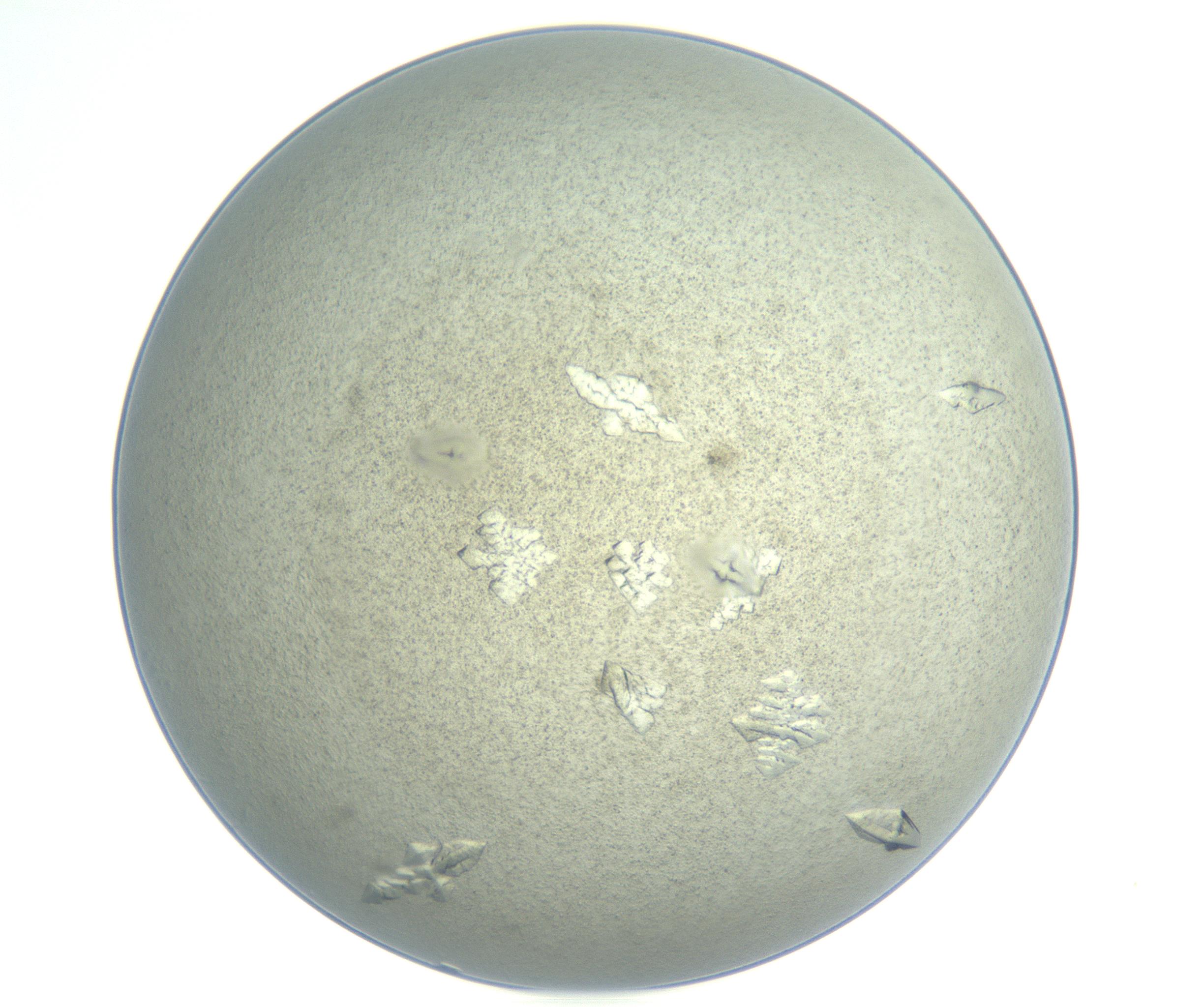 RI01_03_000_0212_Proj1_Clon1_MC_0000MC102898_003_161029_07_04_01_00_99_002_001_RAI.jpg