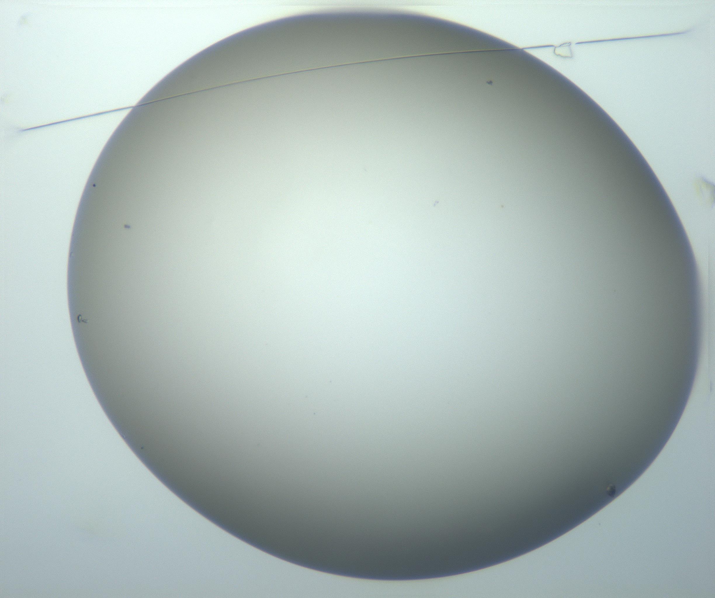 RI01_03_000_0212_Proj1_Clon1_MC_0000MC102900_009_161125_01_01_01_00_99_002_001_RAI.jpg