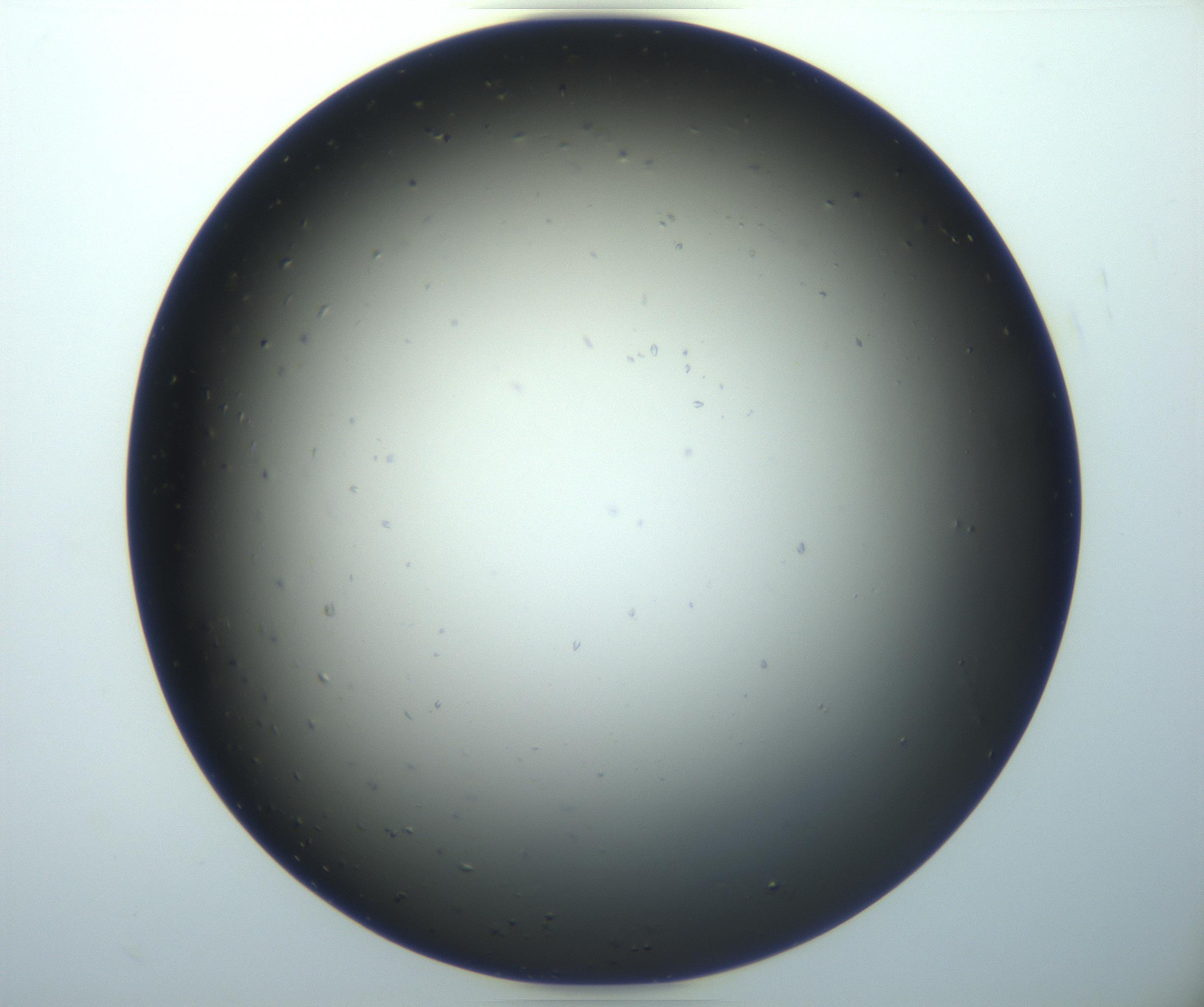 RI01_03_000_0212_Proj1_Clon1_MC_0000MC102920_003_161105_04_02_01_00_99_002_001_RAI.jpg