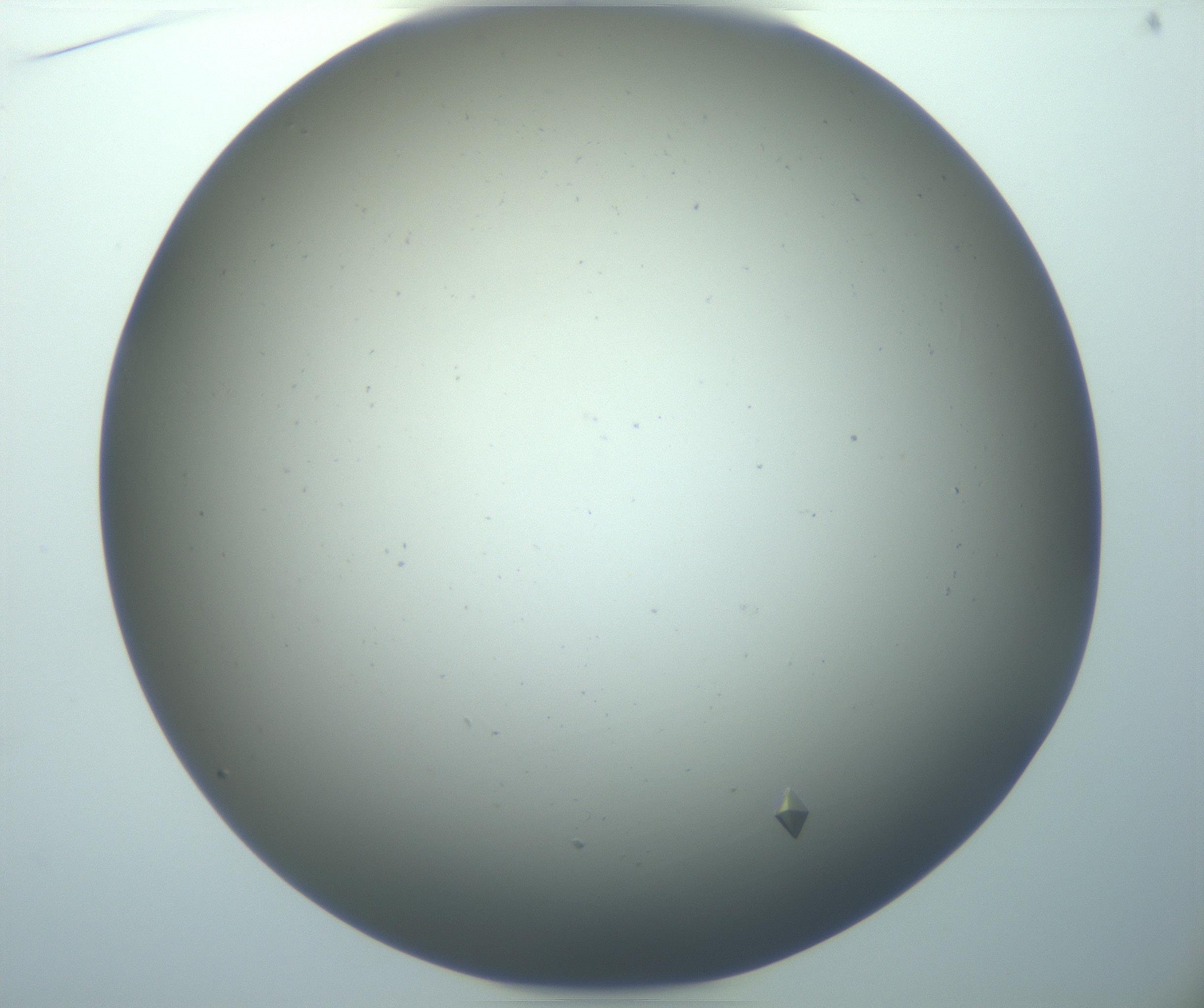 RI01_03_000_0212_Proj1_Clon1_MC_0000MC102920_014_170104_01_02_01_00_99_002_001_RAI.jpg