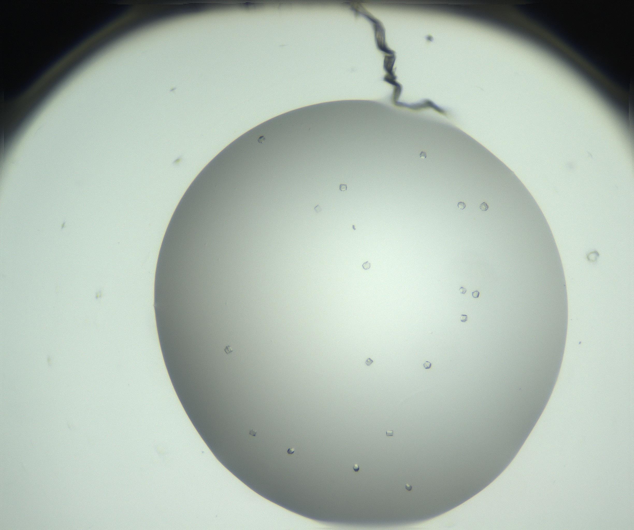 RI01_03_000_0212_Proj1_Clon1_MC_0000MC102923_003_161105_08_01_02_00_99_002_001_RAI.jpg
